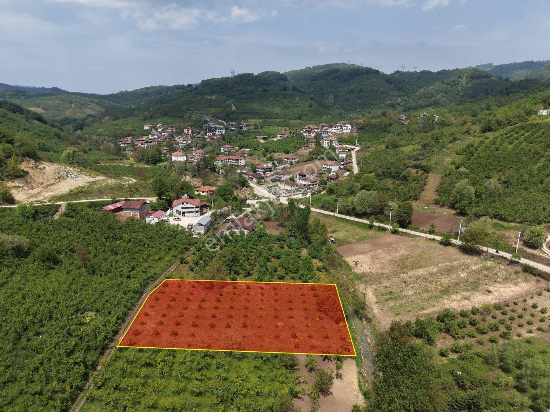 Nv Gayrimenkul Kemer Kasım Köyü'nde 2819 M2 Satılık İmarlı Arsa