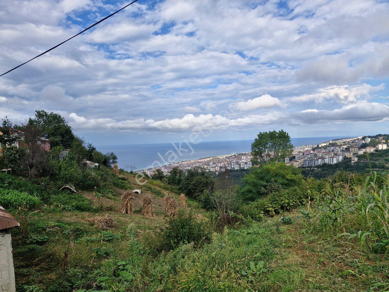 Deha Emlak`tan Satılık 768 M2 Arsa Karşıyaka Mahallesi - Görsel 2