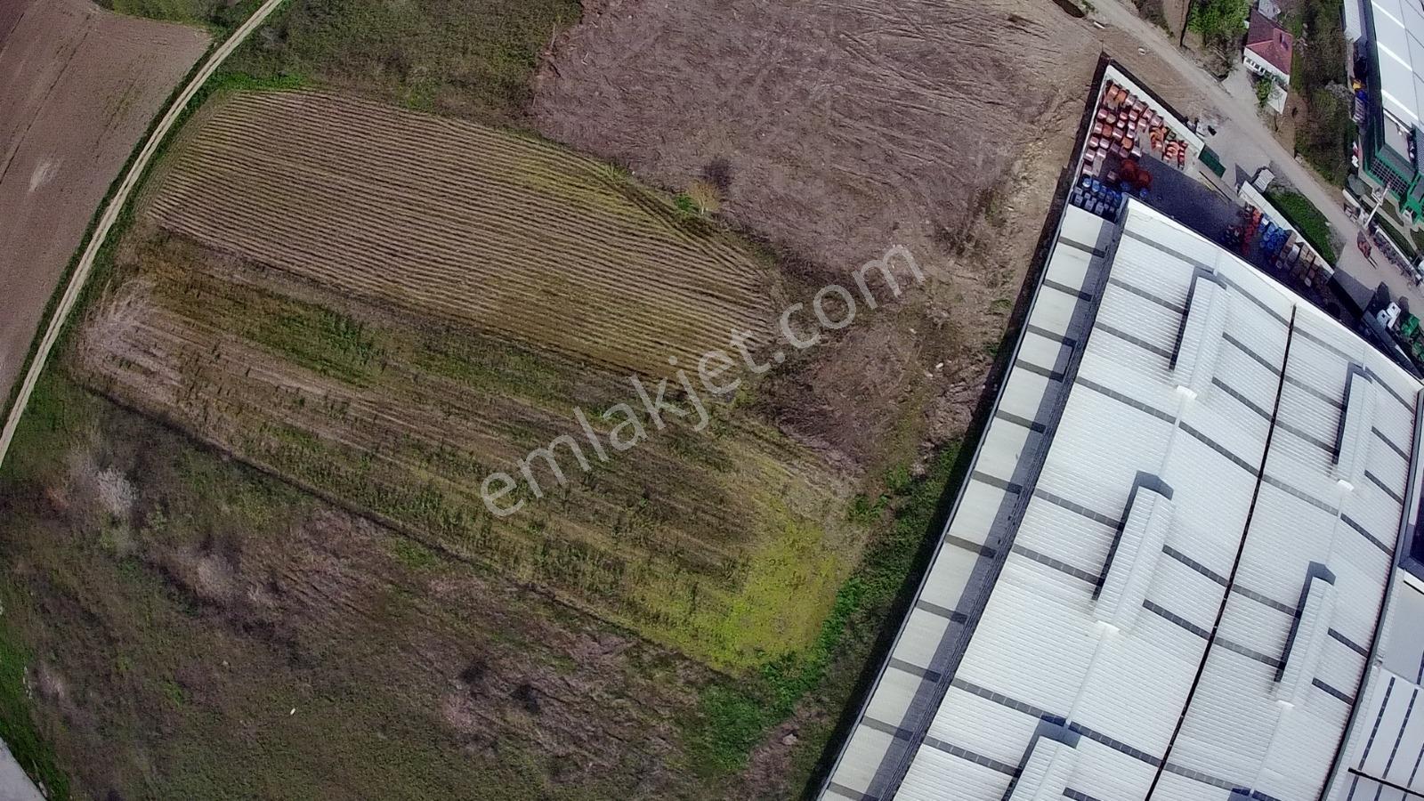 Sakarya Erenler Kozlukta 3530 M² Sanayi İmarlı Köşe Parsel - Görsel 19