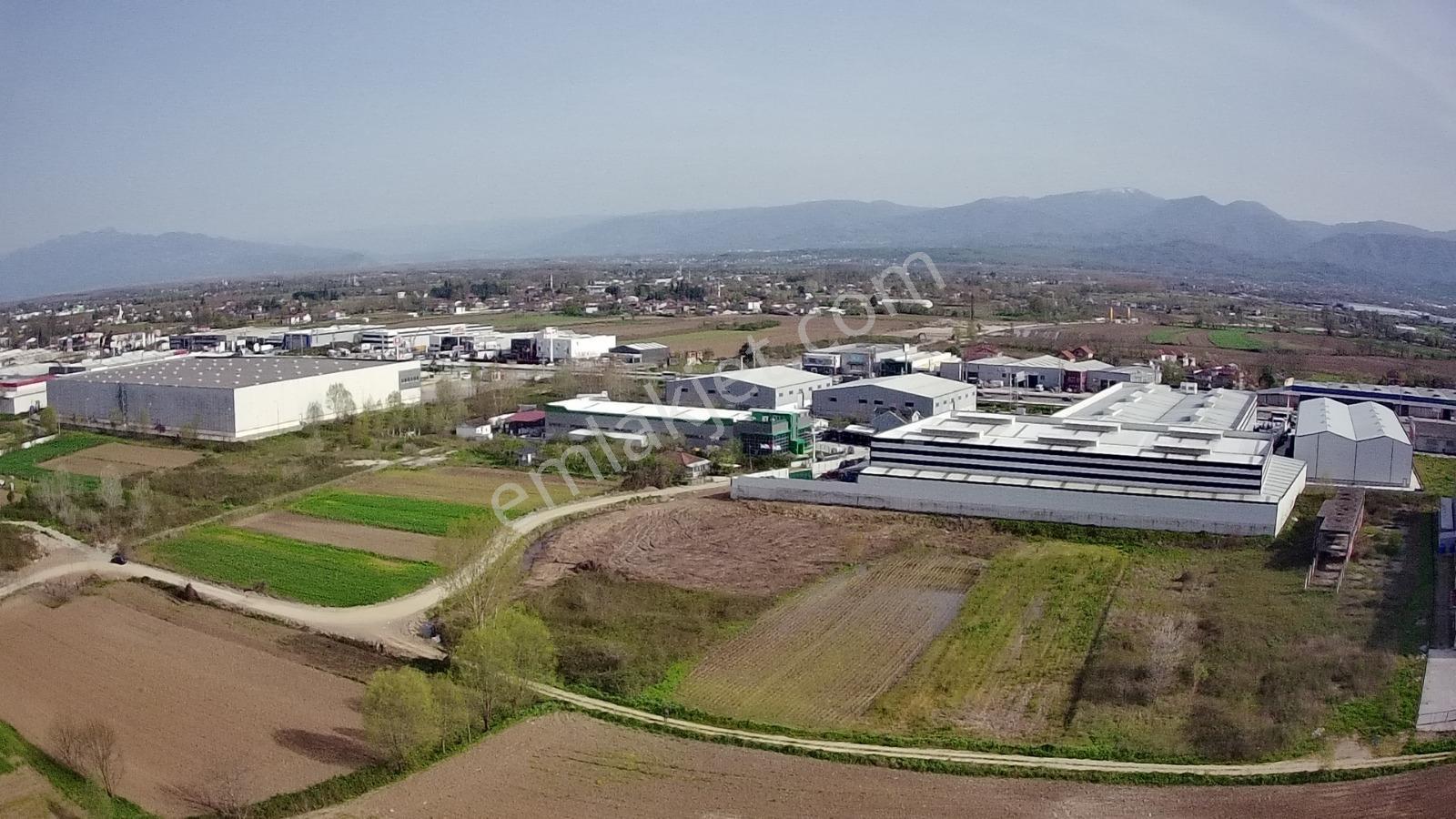 Sakarya Erenler Kozlukta 3530 M² Sanayi İmarlı Köşe Parsel - Görsel 5
