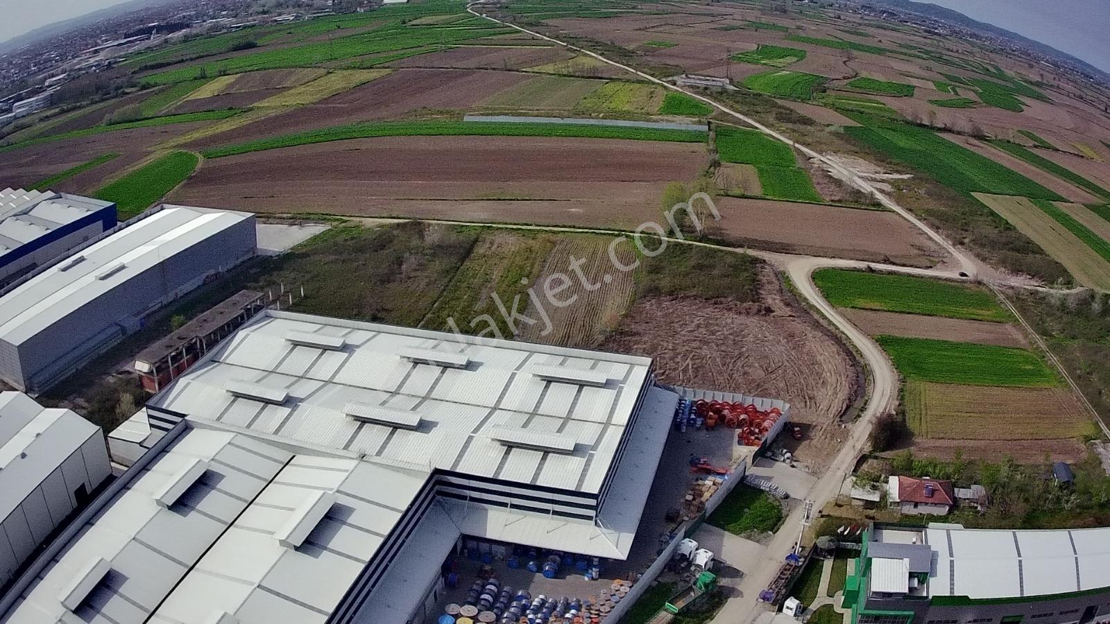 Sakarya Erenler Kozlukta 3530 M² Sanayi İmarlı Köşe Parsel - Görsel 11