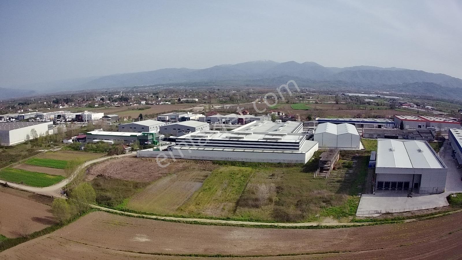 Sakarya Erenler Kozlukta 3530 M² Sanayi İmarlı Köşe Parsel - Görsel 6
