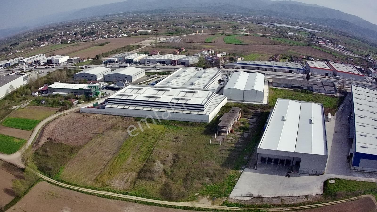 Sakarya Erenler Kozlukta 3530 M² Sanayi İmarlı Köşe Parsel - Görsel 7