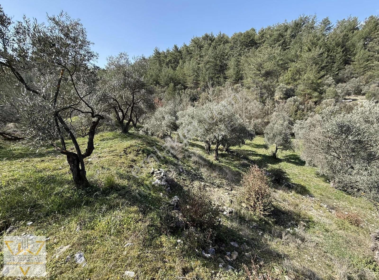 Doğası Ve Sakinliğiyle Dağdibi Mahallesinde Satılık Tarla - Görsel 12