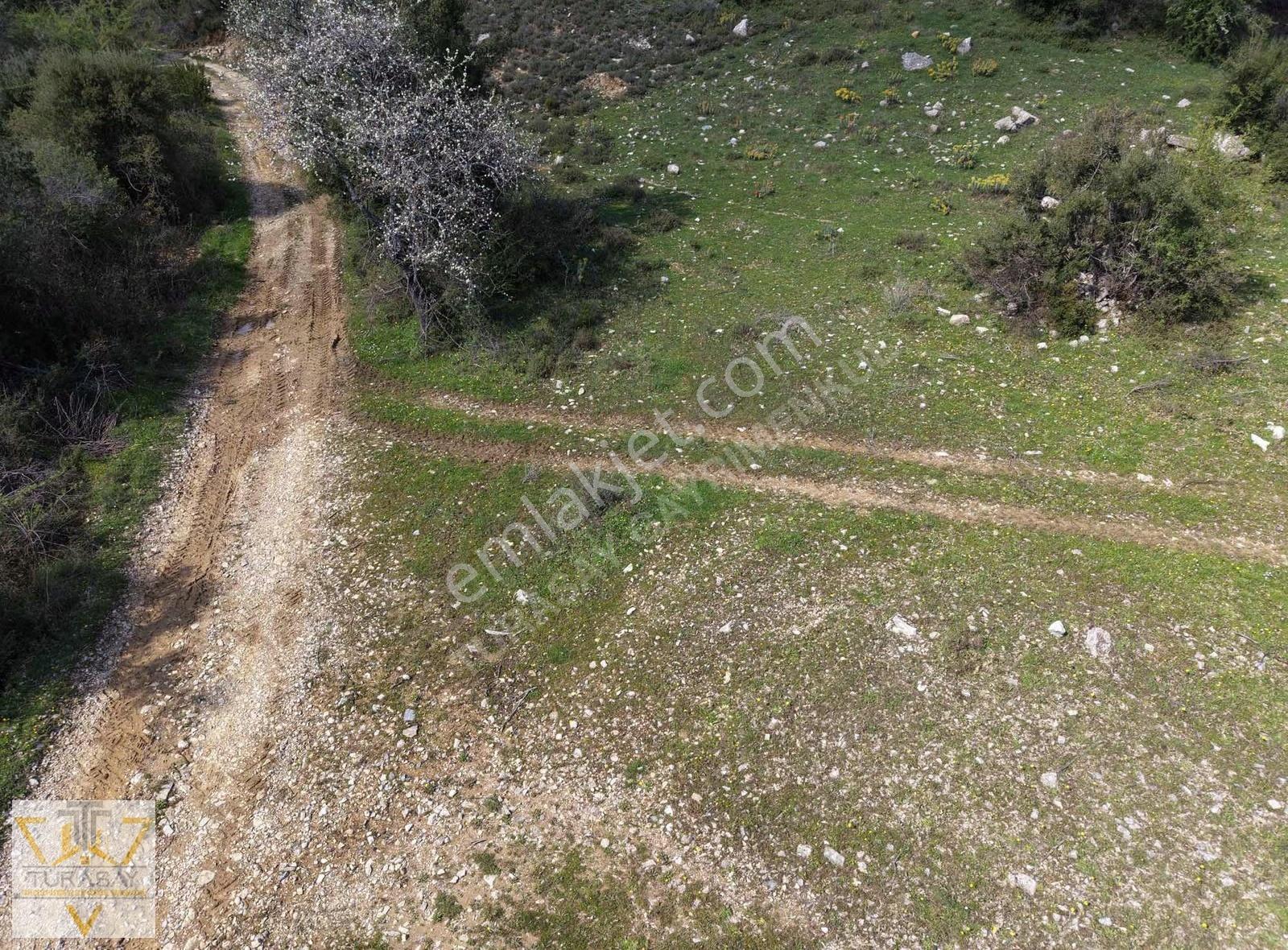 Doğası Ve Tabiatıyla Çatakbağyaka Mahallesinde Yatırım Fırsatı - Görsel 4