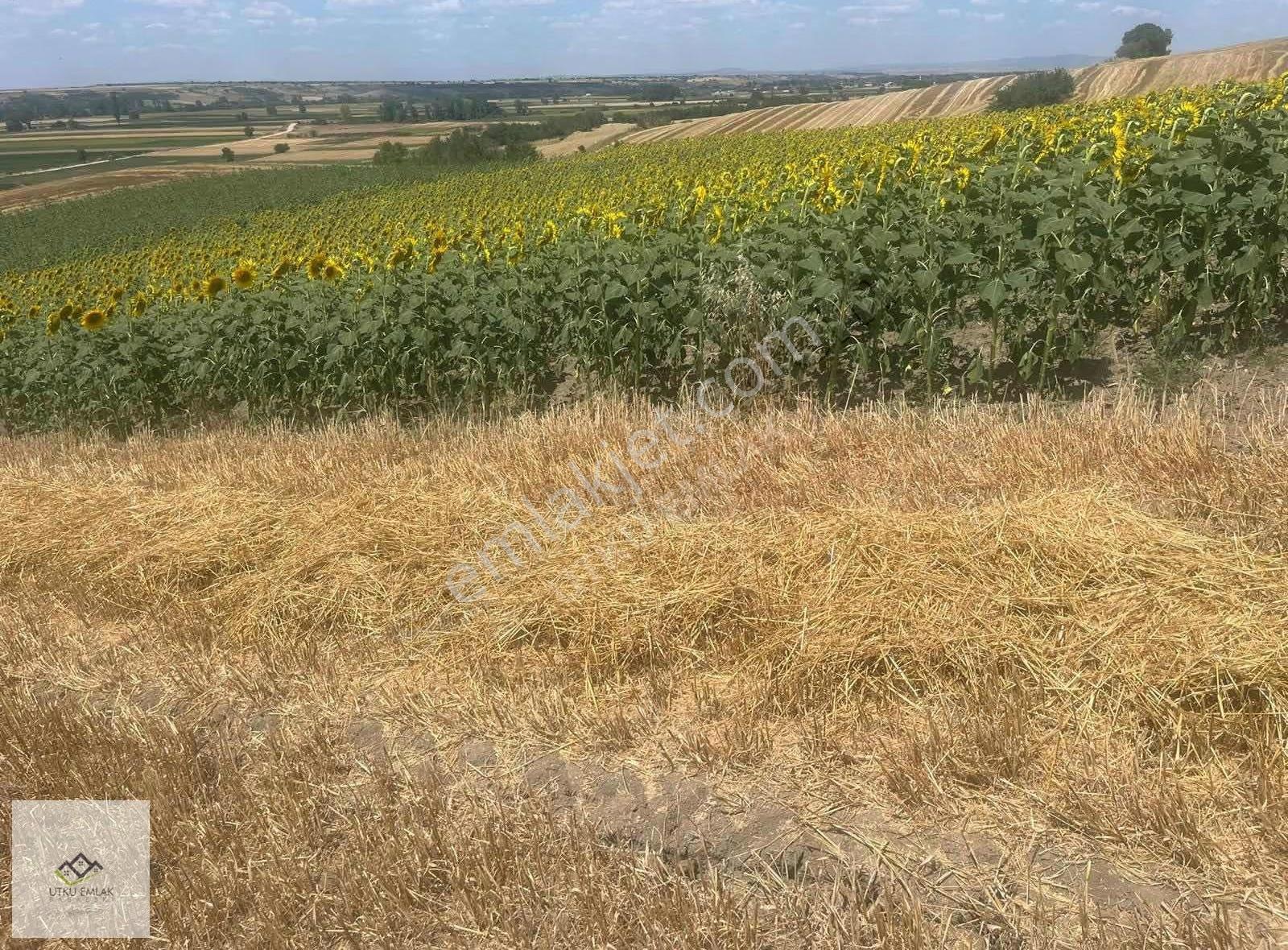 Utku Emlak'tan Babaeski Karahalil 3920m2 Yatırımlık Arazi - Görsel 3