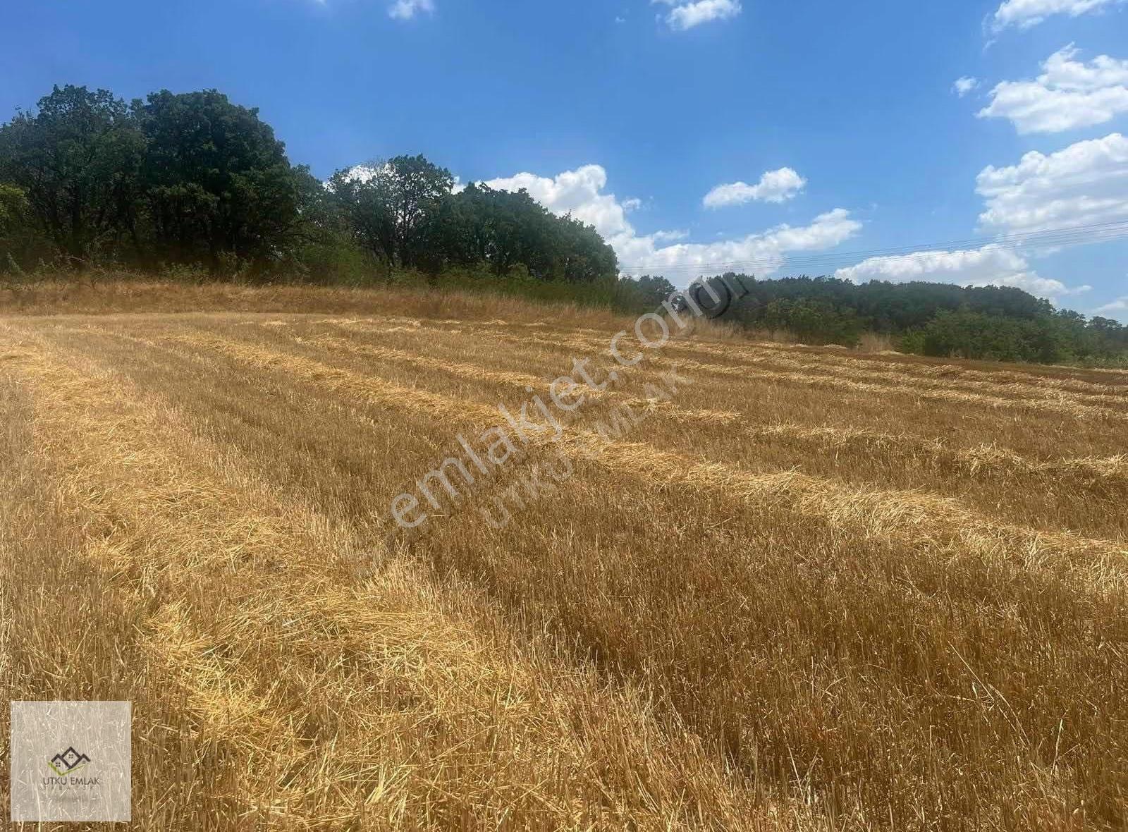 Utku Emlak'tan Babaeski Karahalil 3920m2 Yatırımlık Arazi - Görsel 6
