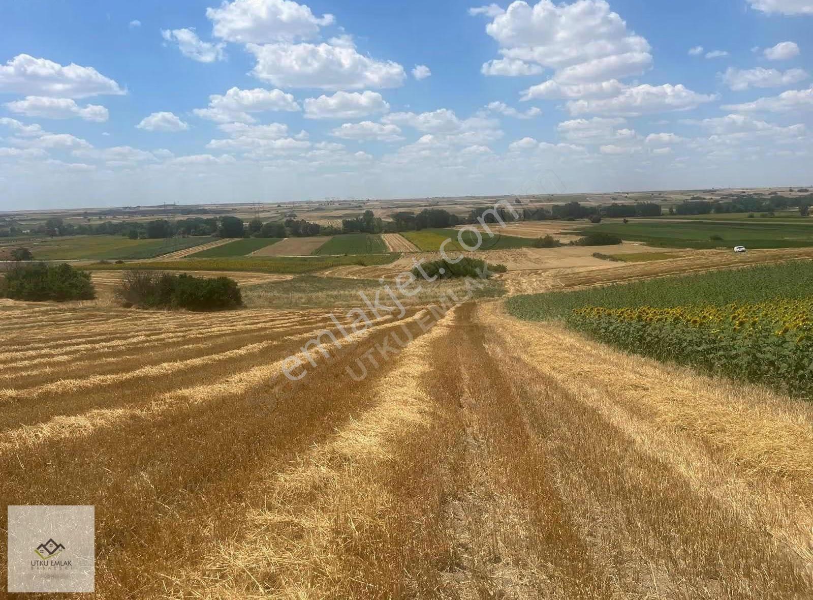 Utku Emlak'tan Babaeski Karahalil 3920m2 Yatırımlık Arazi - Görsel 4