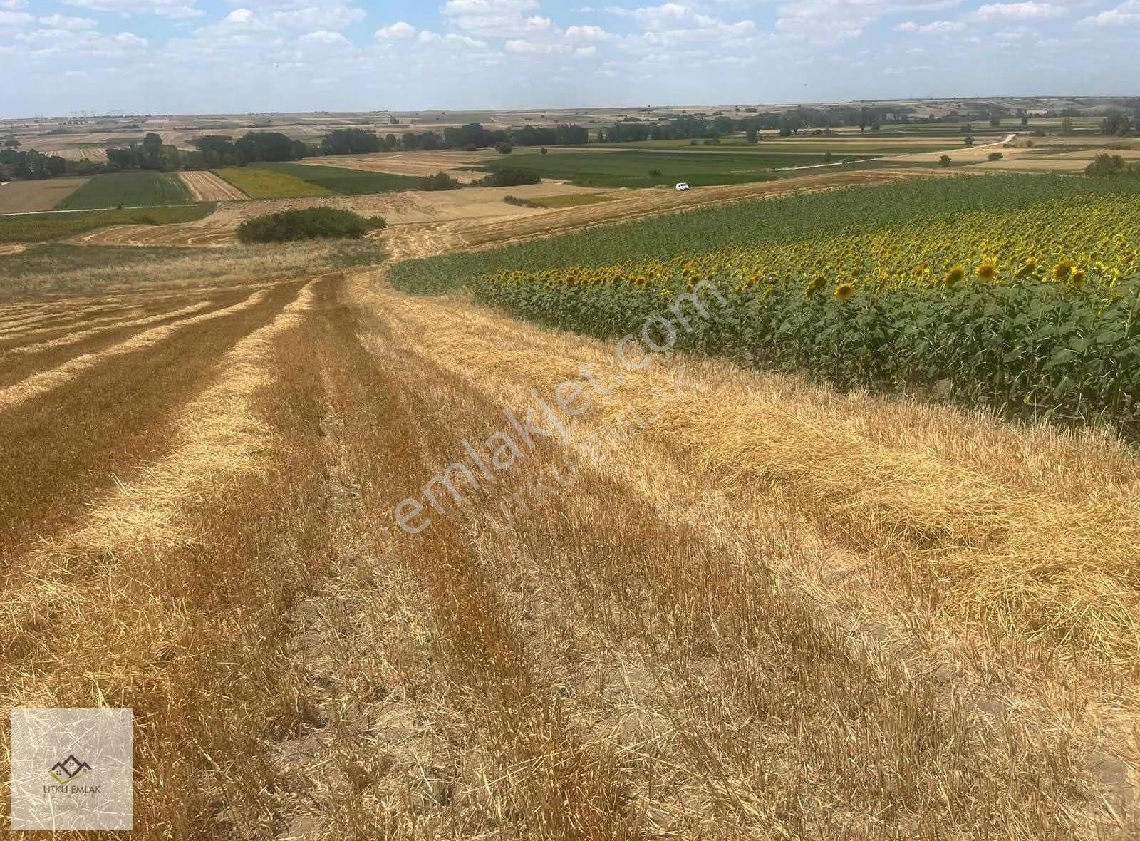 Utku Emlak'tan Babaeski Karahalil 3920m2 Yatırımlık Arazi - Görsel 5