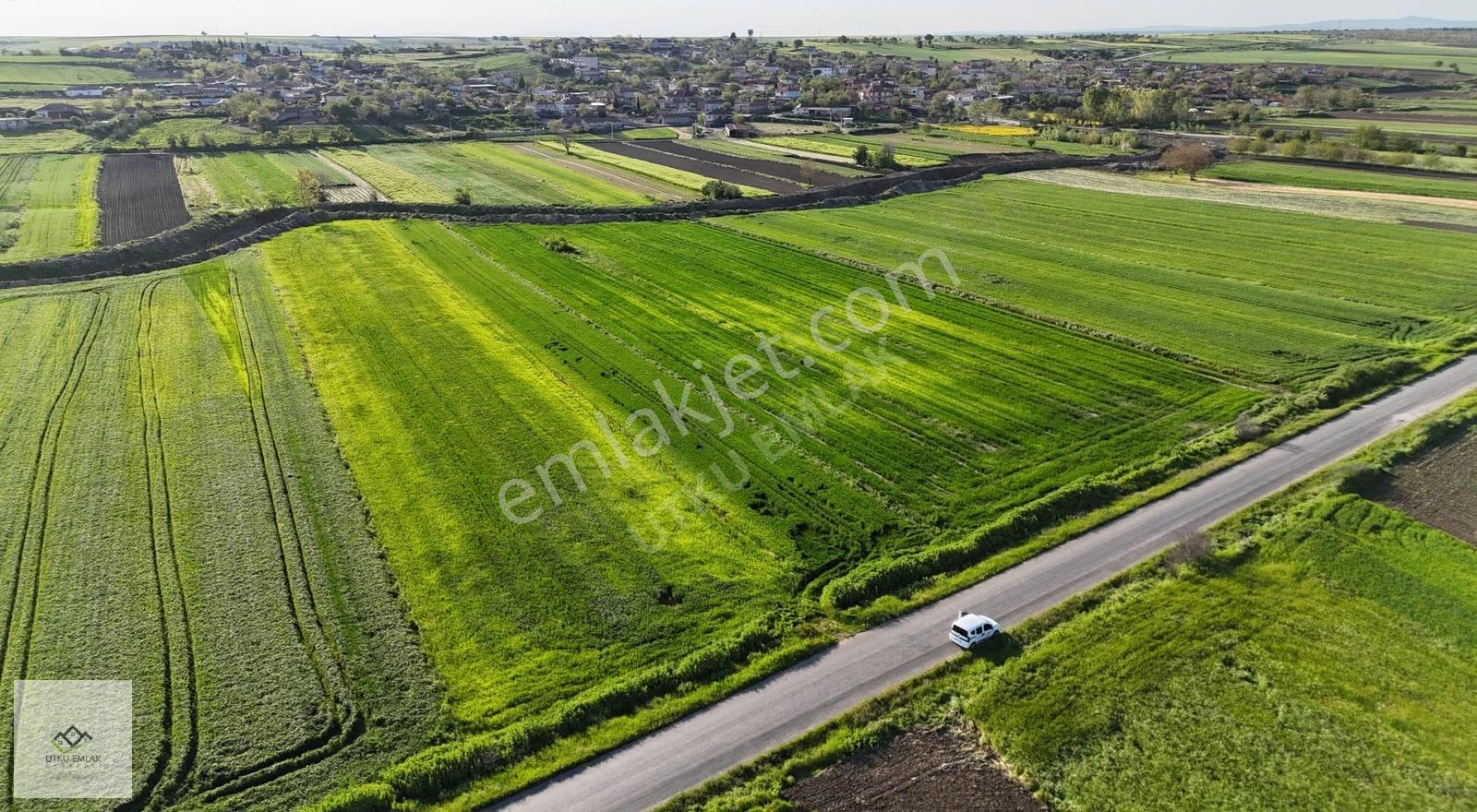 Süloğlu Akardere 3283 M2 Asfalt Cephe Satılık Tarla - Görsel 6