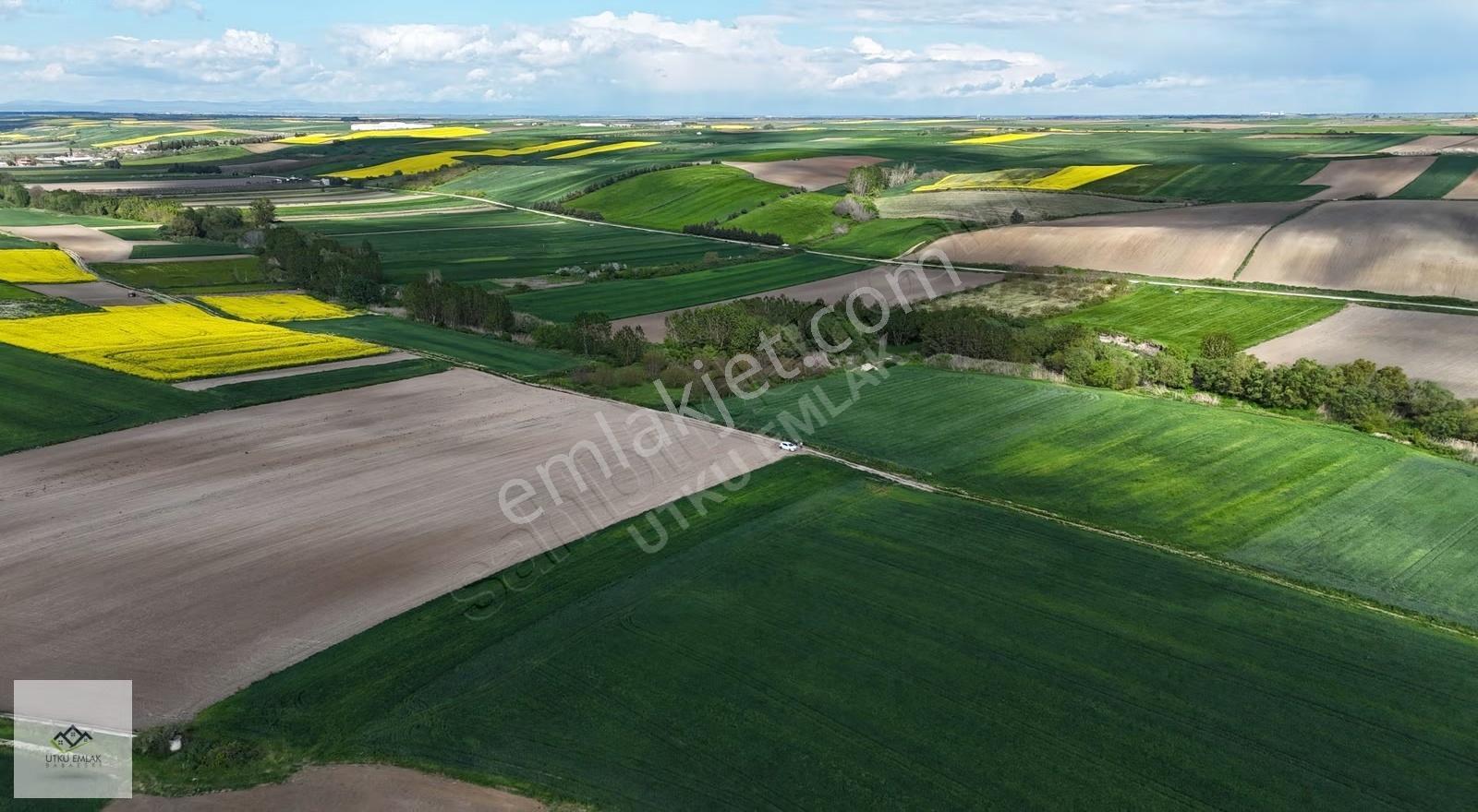 Babaeski Yenimahallede Satılık 6883 M2 Tarla - Görsel 7