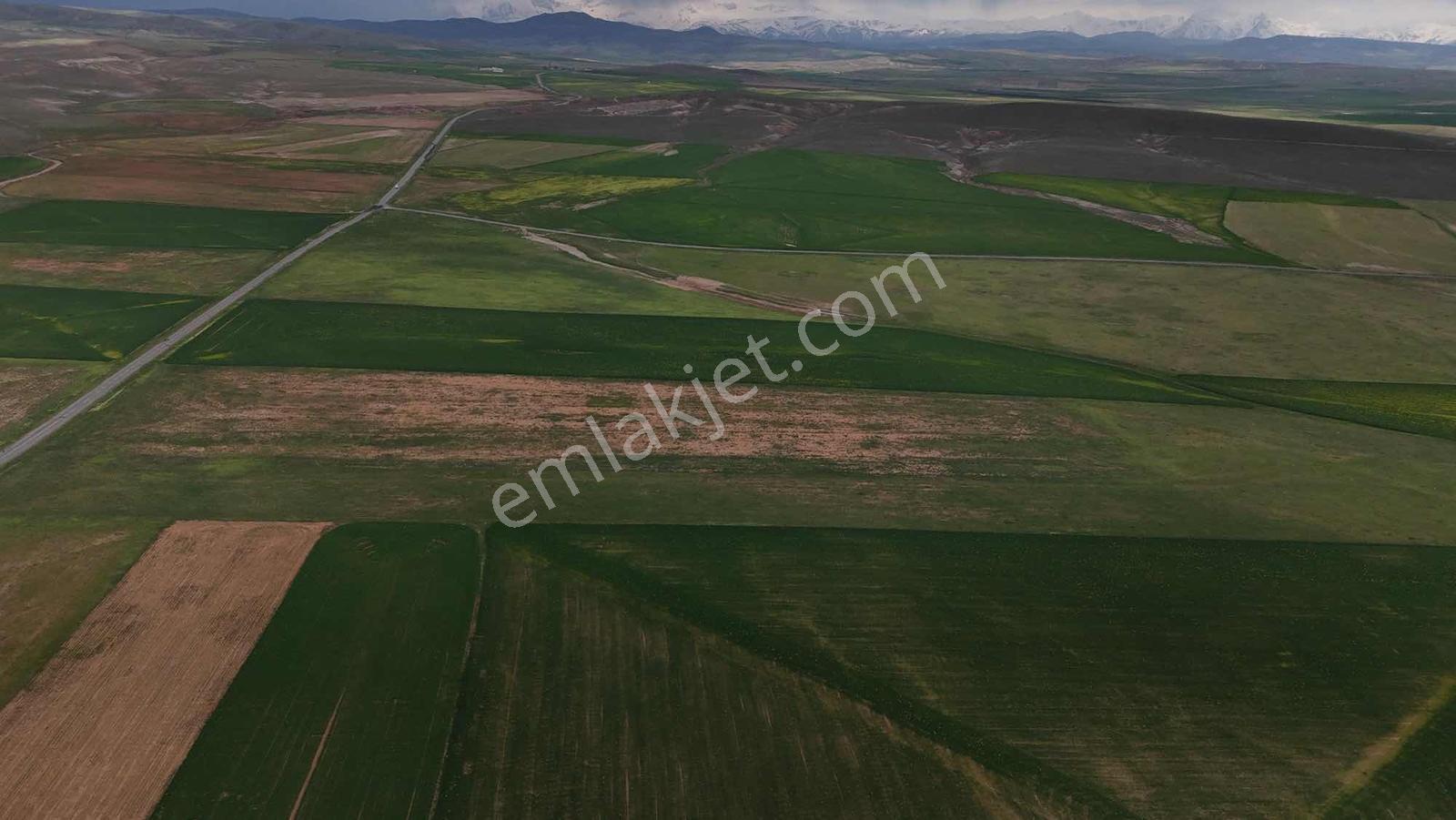 Emin Emlak Bor Altay Köyü Satılık 80 Dönüm Yola Cephe Tarla - Görsel 10