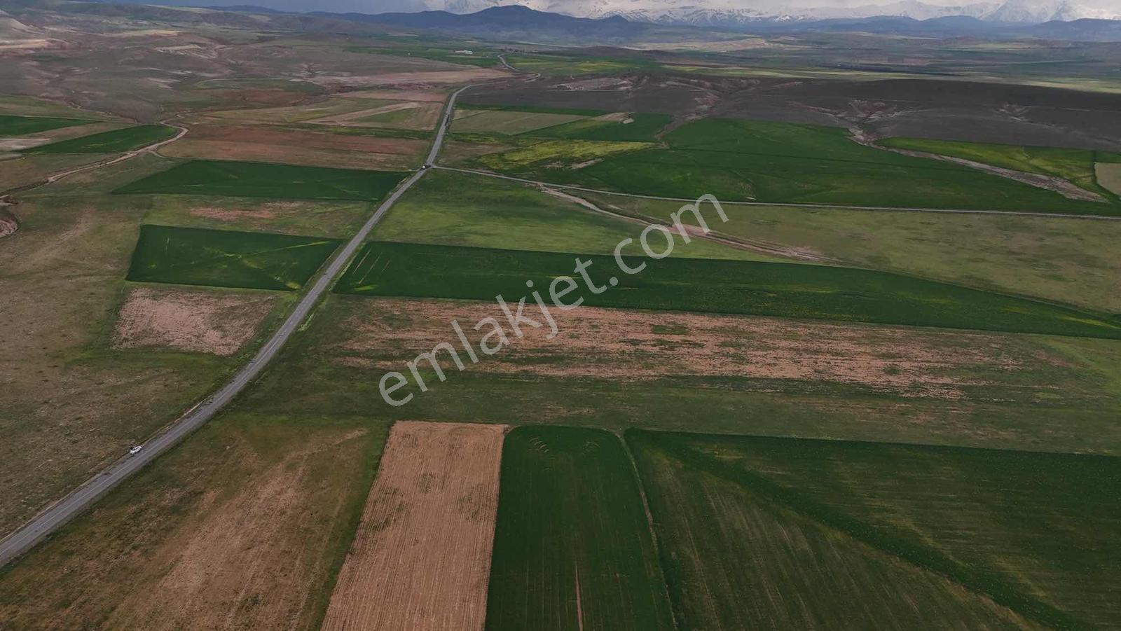 Emin Emlak Bor Altay Köyü Satılık 80 Dönüm Yola Cephe Tarla - Görsel 13