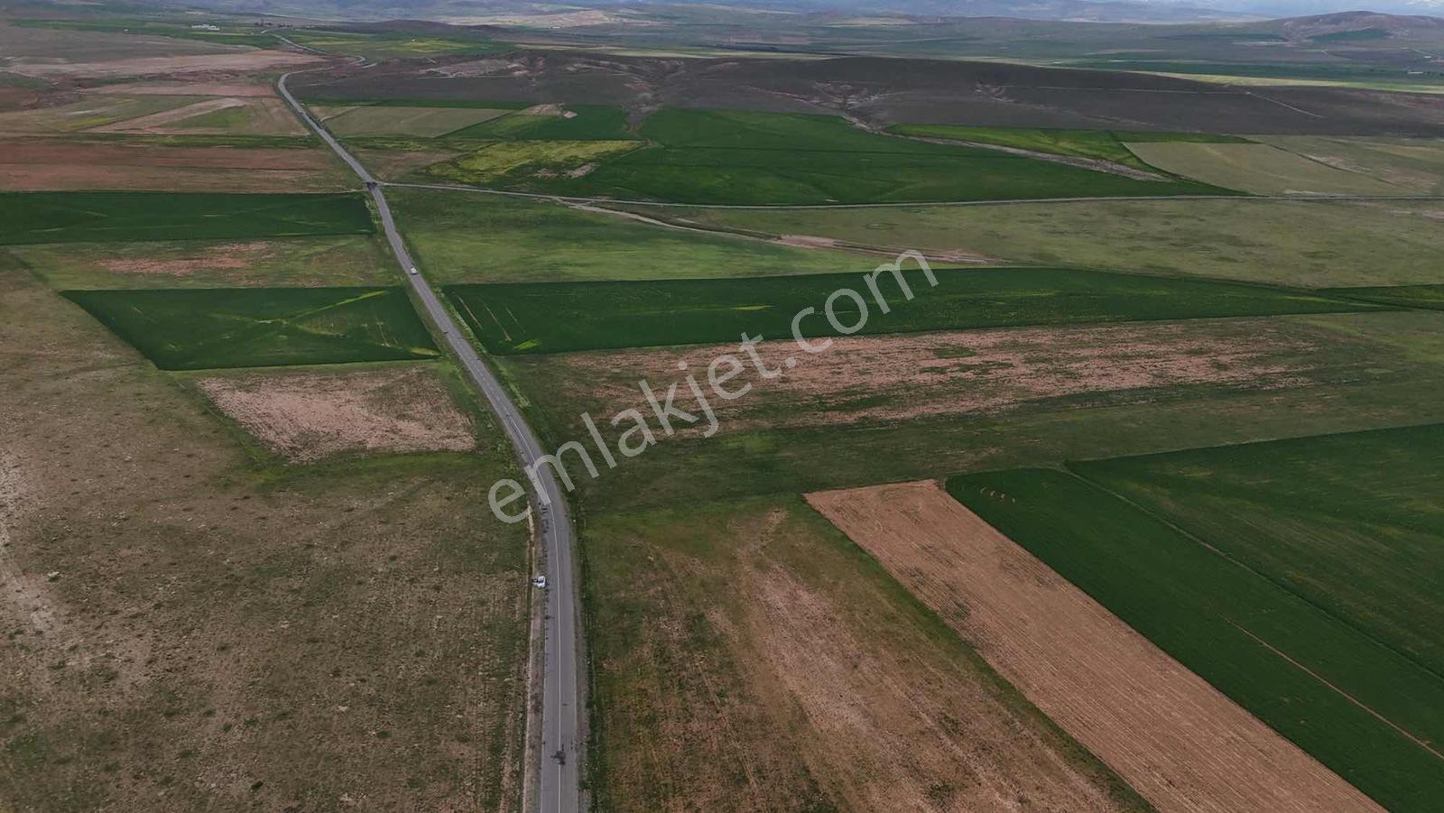 Emin Emlak Bor Altay Köyü Satılık 80 Dönüm Yola Cephe Tarla - Görsel 2