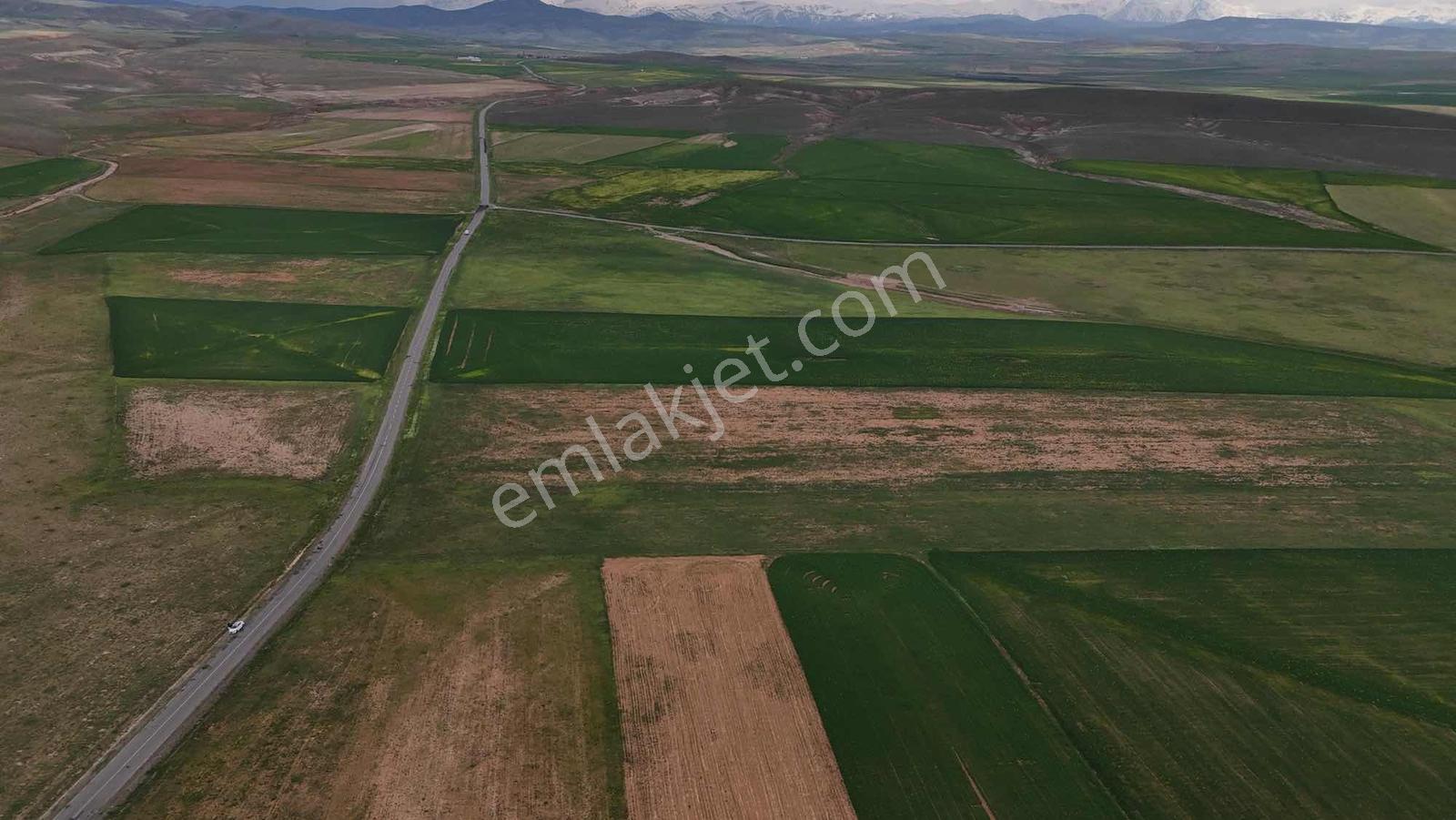 Emin Emlak Bor Altay Köyü Satılık 80 Dönüm Yola Cephe Tarla - Görsel 17