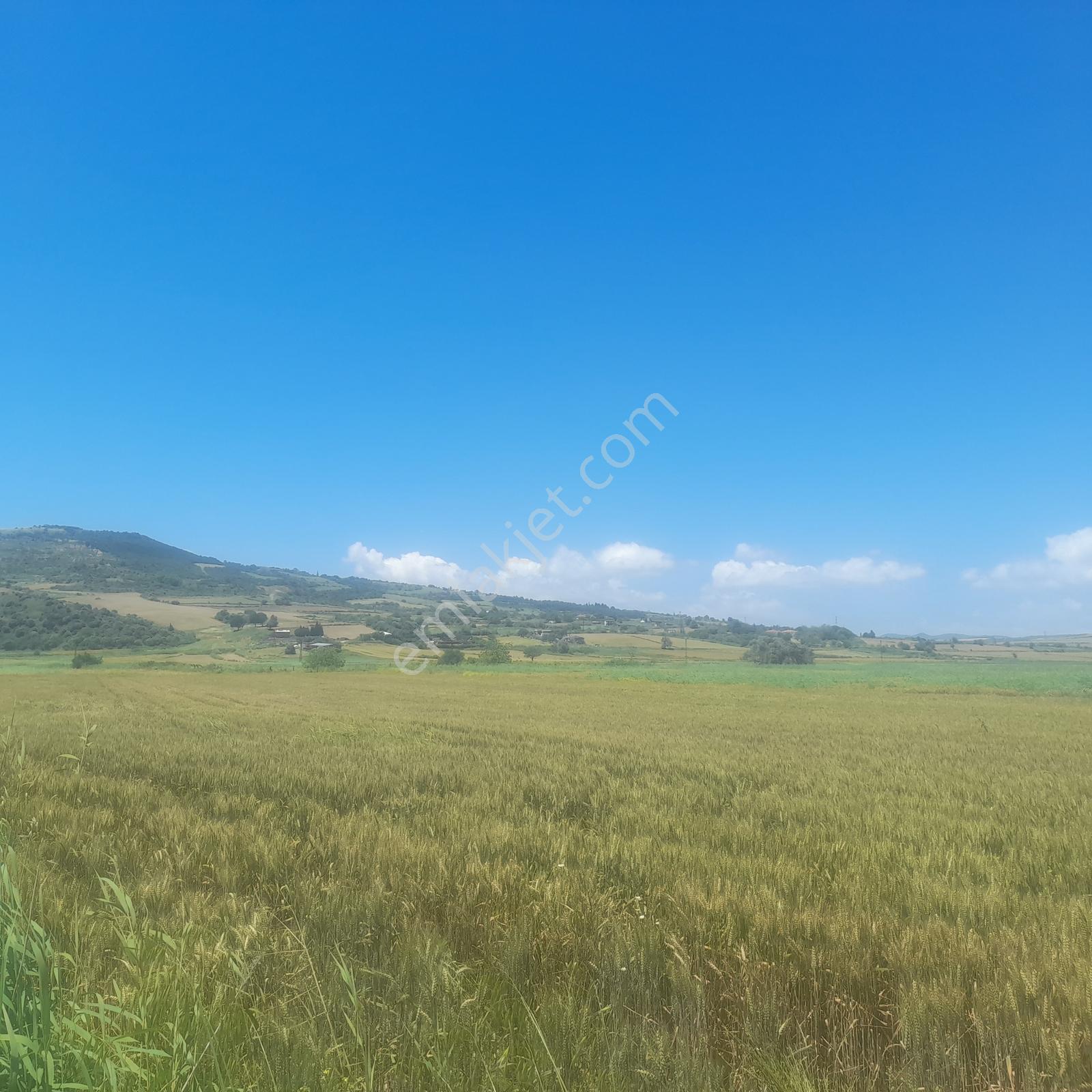 Çanakkale Gelibolu Sütlüce'de Deniz Ve Köprü Manzaralı 5.231 M2 - Görsel 8
