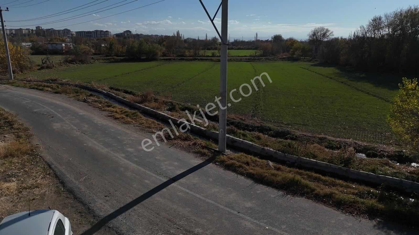 Emin Emlak Bor Sırasöğütler 8 Dönüm Mükemmel Konumda Tarla - Görsel 3