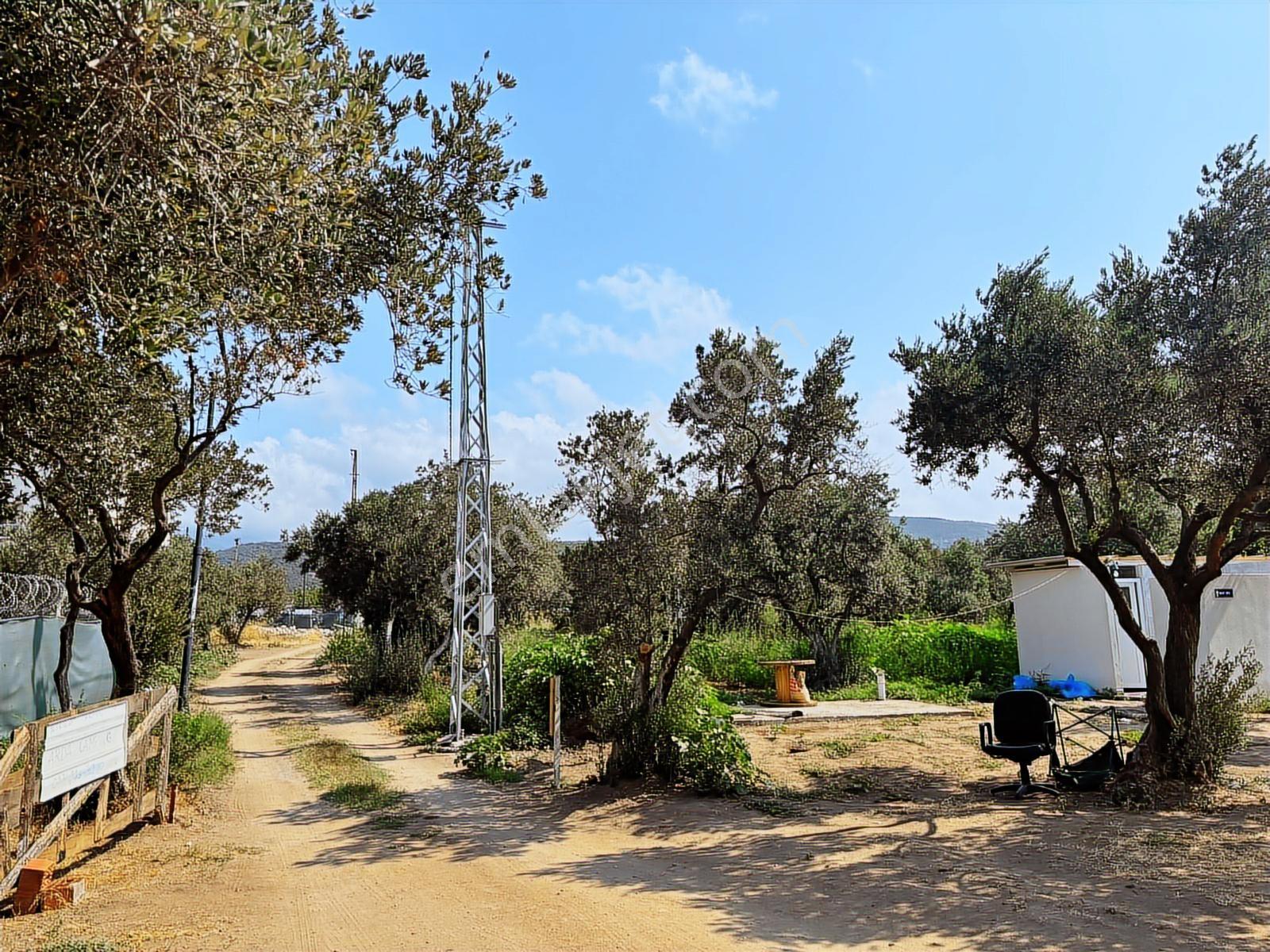 Erdek Kastride Denize 20 Adım Satılık Turizm İmarlı Otel Arazisi - Görsel 6