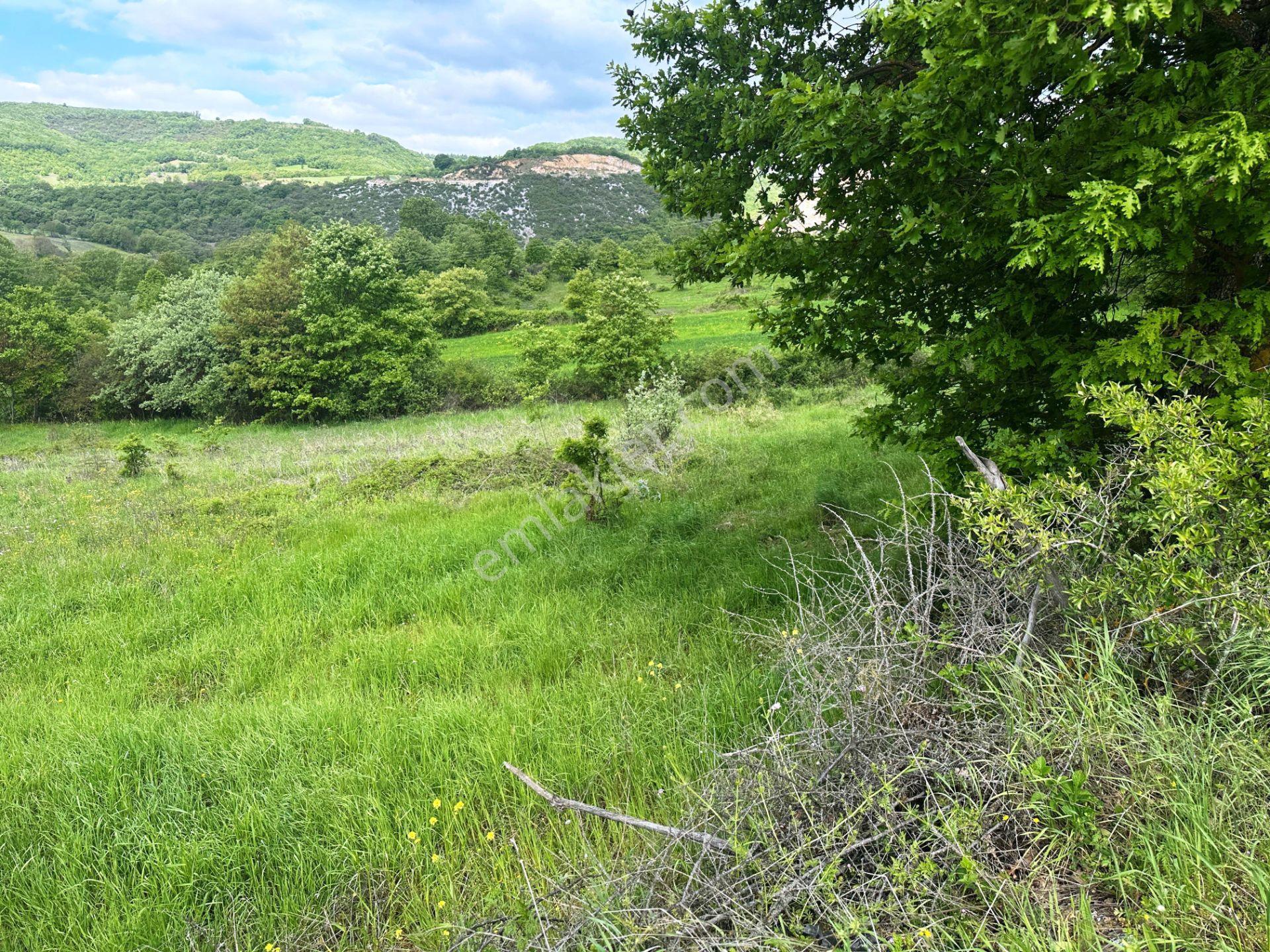 Çan Okçular'da 3.458m2 Resmi Yolu Olan Müst.parsel Satılık Arsa - Görsel 17