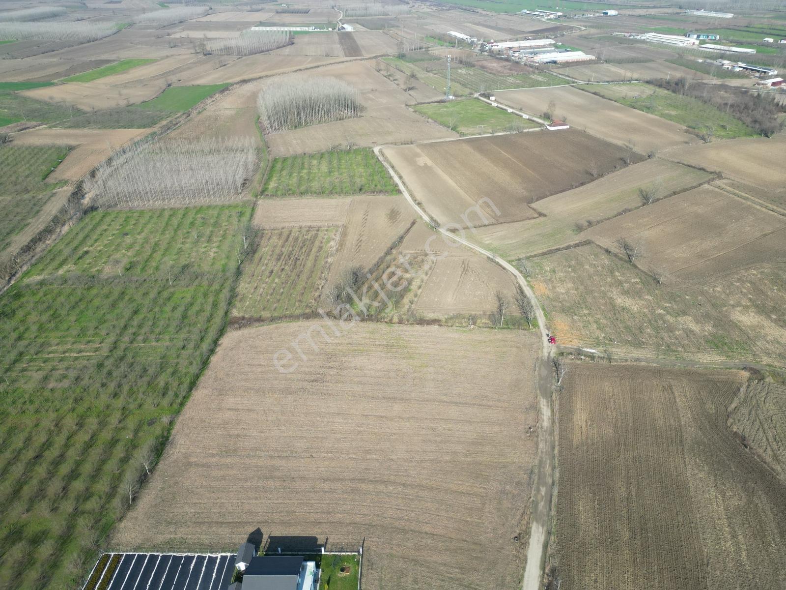 Cumhuriyet / Altındere 2.677 M2 İmarlı Arsa Satılık - Görsel 14