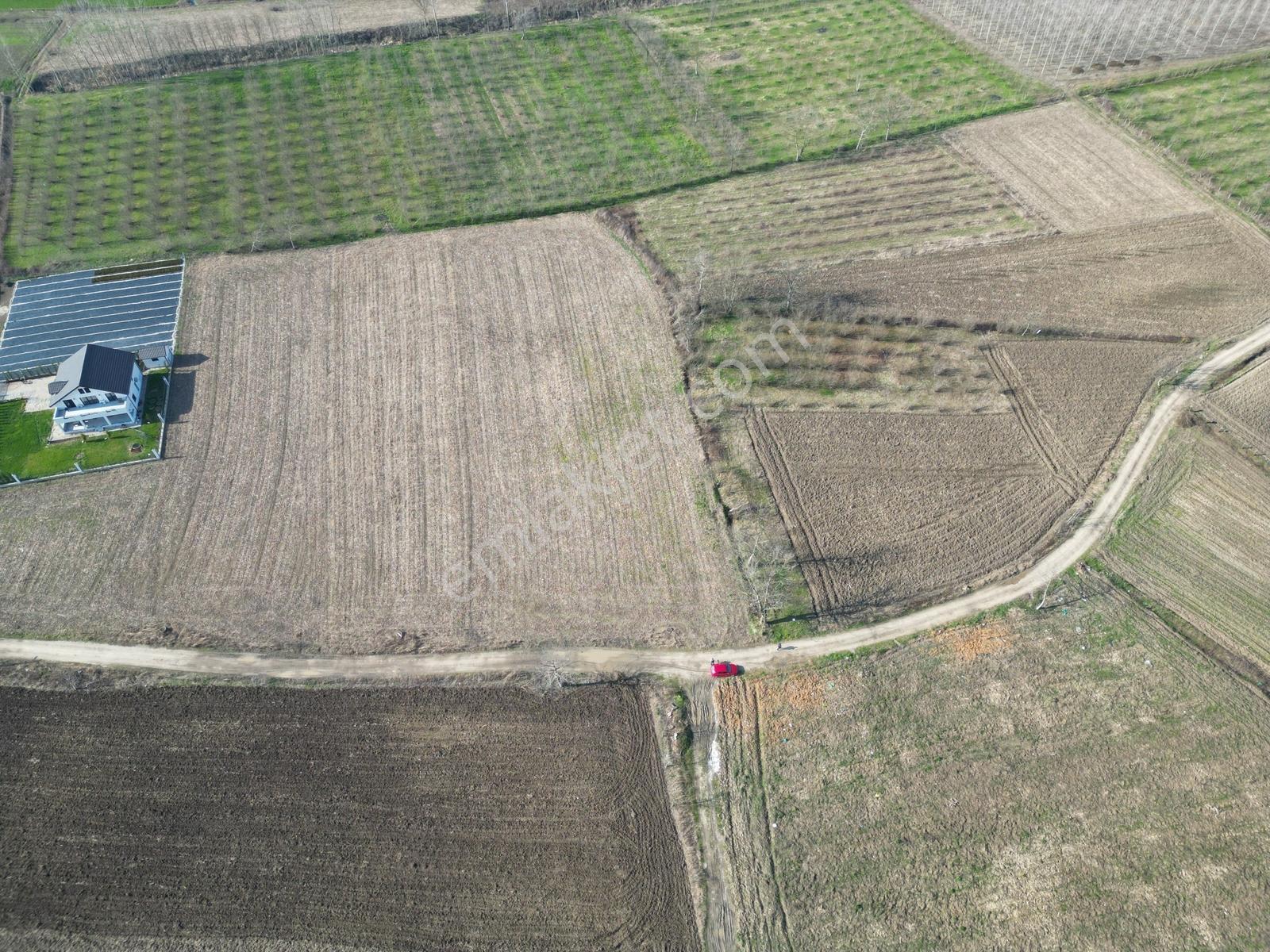 Cumhuriyet / Altındere 2.677 M2 İmarlı Arsa Satılık - Görsel 9