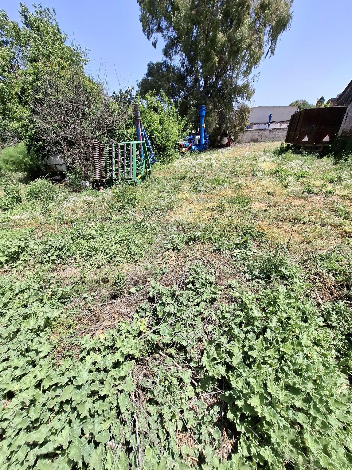 🏡 Söke Sarıkemer Merkezde Doğayla İç İçe Satılık Ev Ve Arsa 🏡 - Görsel 9