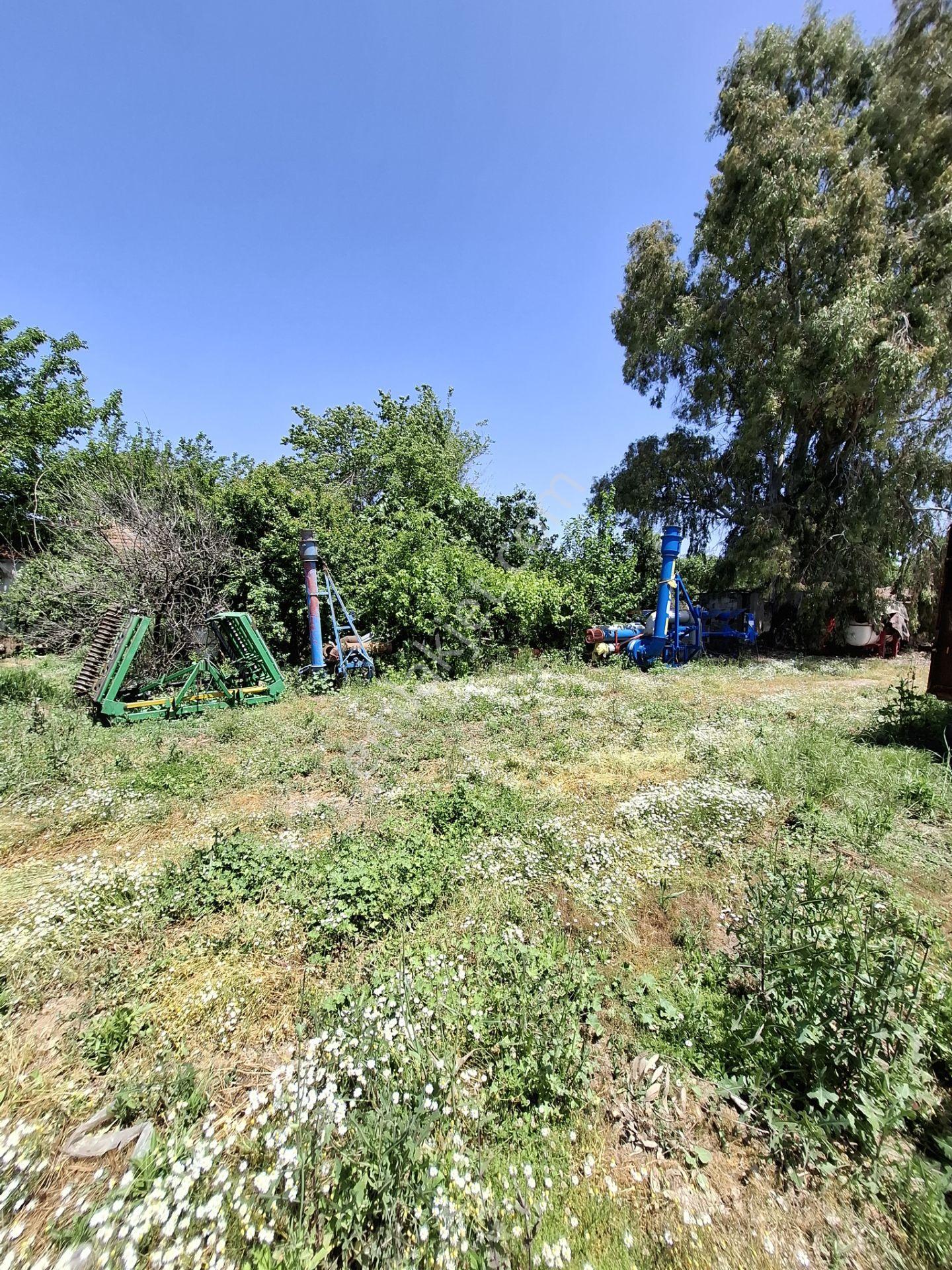 🏡 Söke Sarıkemer Merkezde Doğayla İç İçe Satılık Ev Ve Arsa 🏡 - Görsel 8