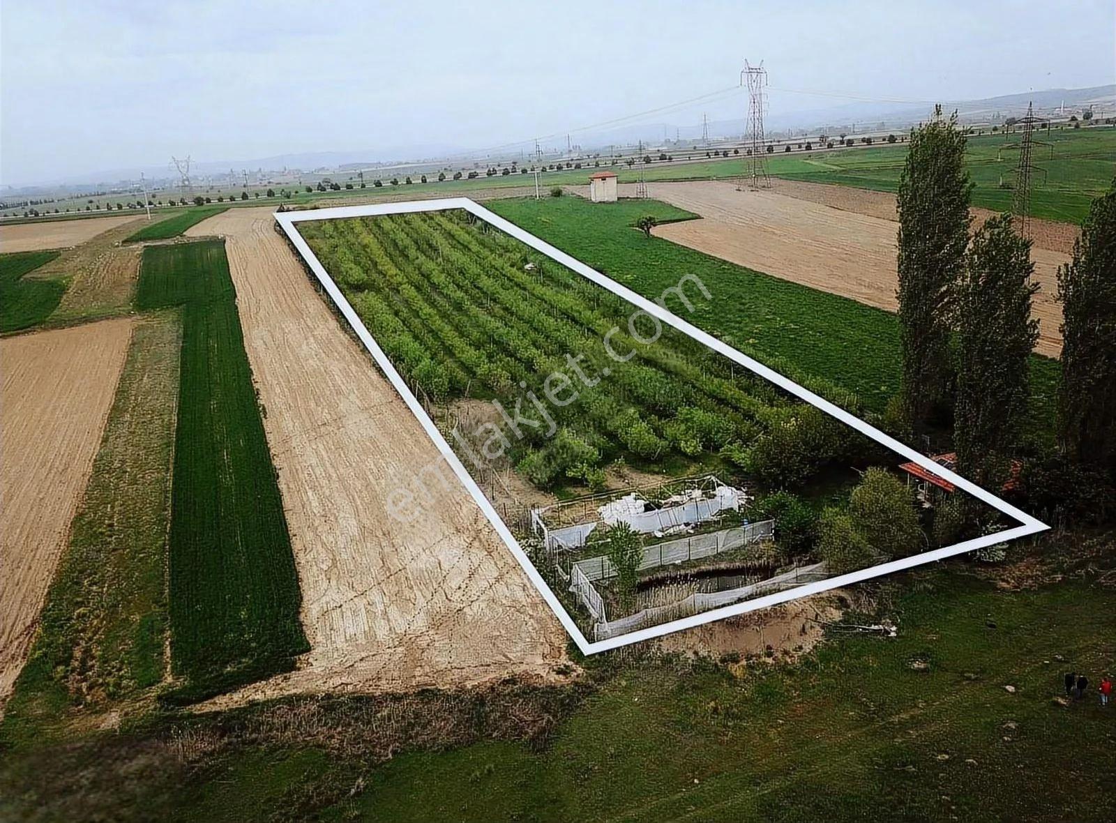 Kolçan Emlaktan Tavşanlı Yolu Üstünde Satılık Hobi Bahçesi - Görsel 2