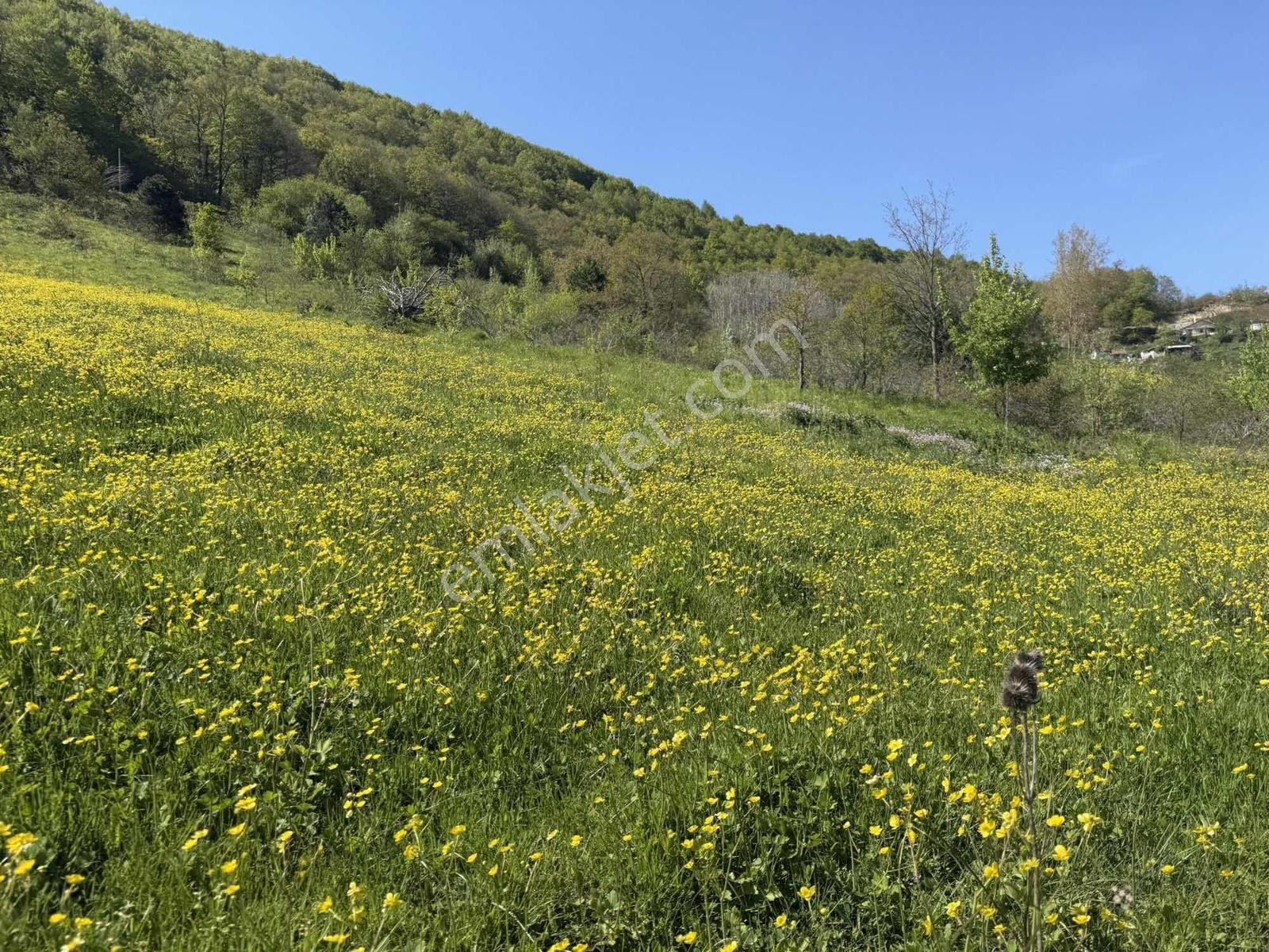 Osmaniye'de Yayla Havasında 250 M2 İnşaat İzinli 1013 M2 Arsa - Görsel 27