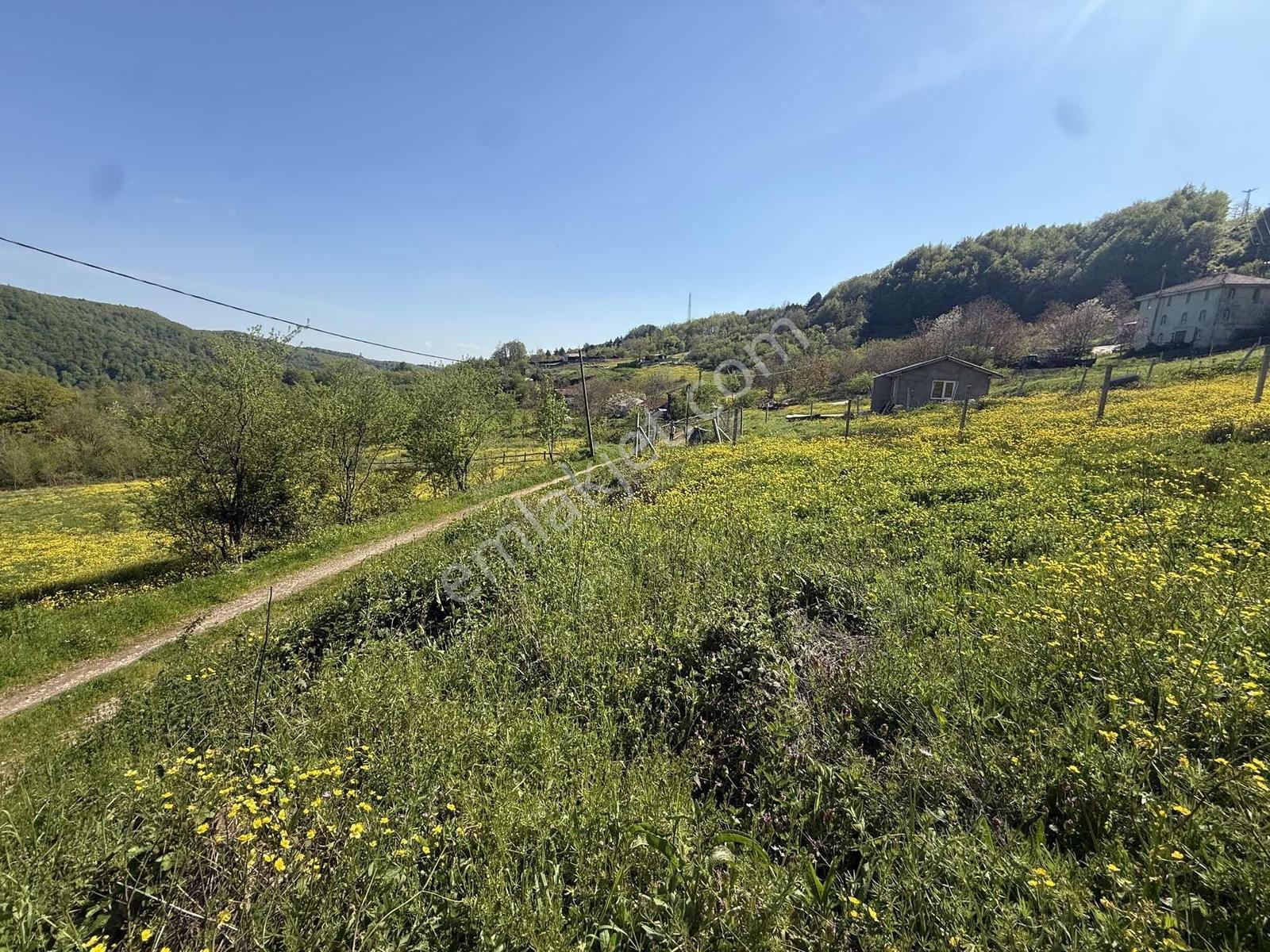 Osmaniye'de Yayla Havasında 250 M2 İnşaat İzinli 1013 M2 Arsa - Görsel 10
