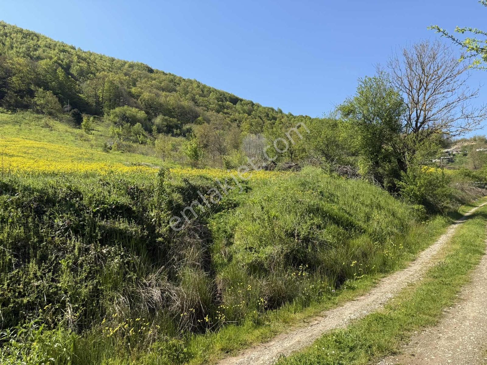 Osmaniye'de Yayla Havasında 250 M2 İnşaat İzinli 1013 M2 Arsa - Görsel 30