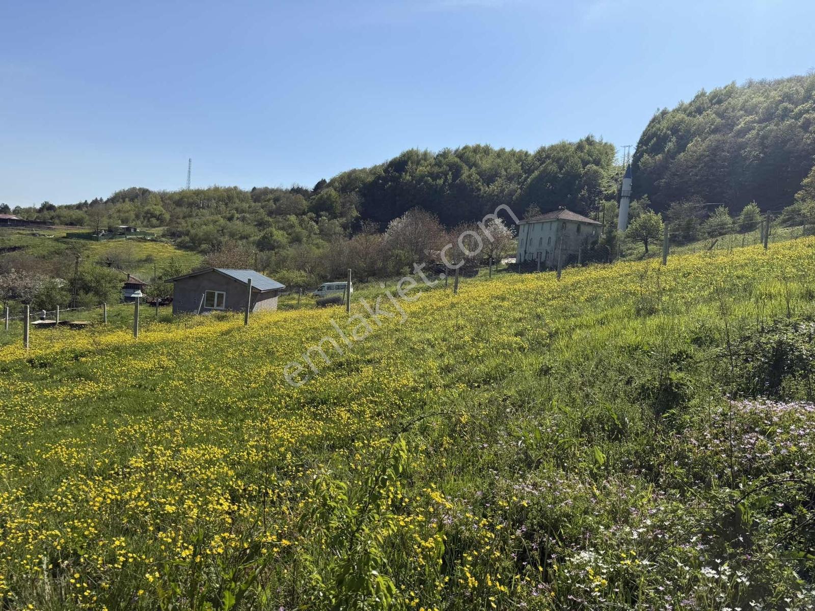 Osmaniye'de Yayla Havasında 250 M2 İnşaat İzinli 1013 M2 Arsa - Görsel 31