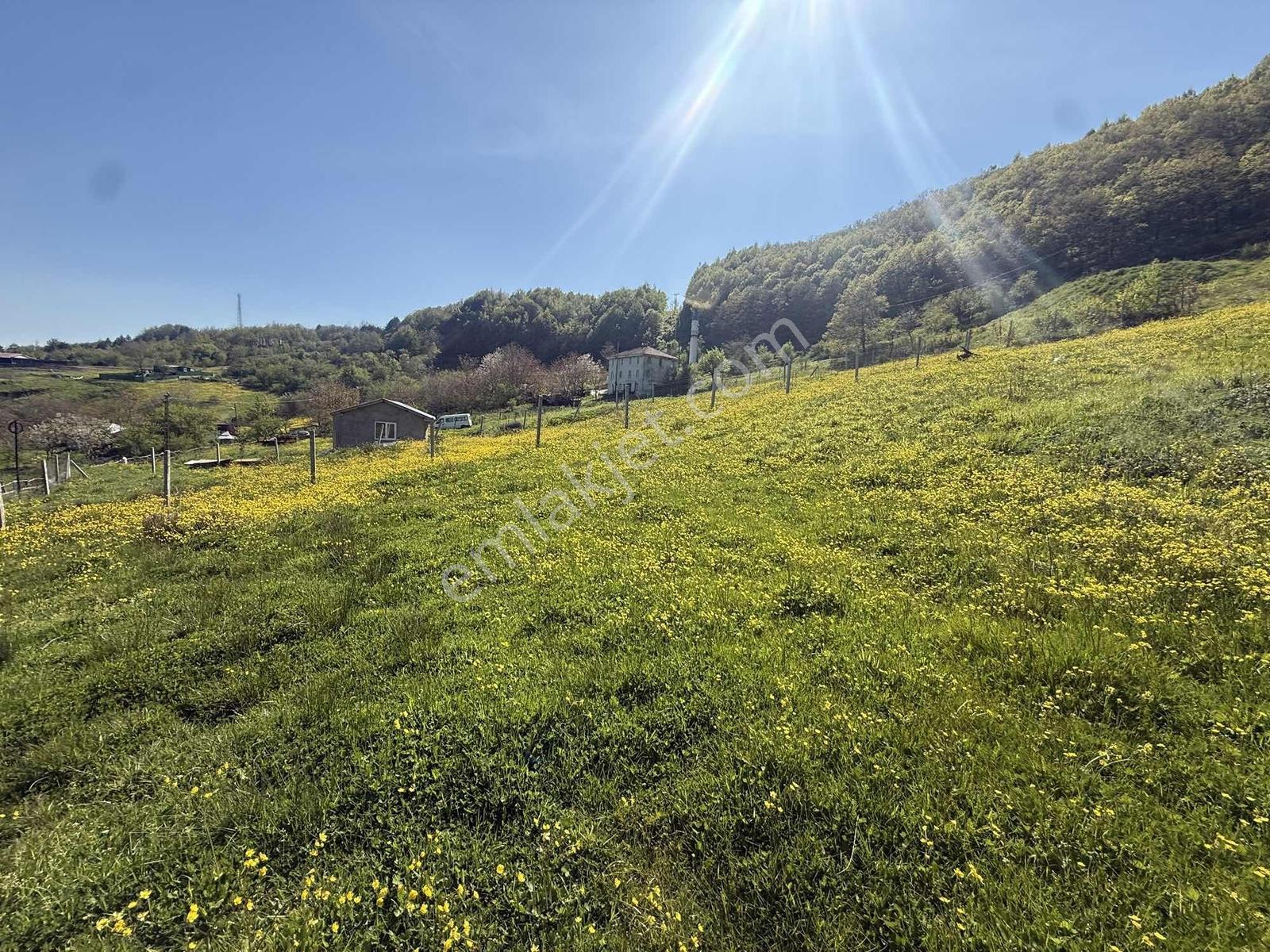 Osmaniye'de Yayla Havasında 250 M2 İnşaat İzinli 1013 M2 Arsa - Görsel 11