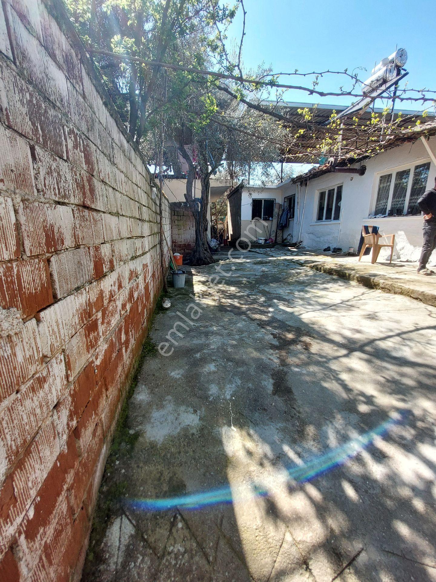 Doğru Gayrımenkuldeniçinde4adetmüstakilevolan595metrekarearaz - Görsel 13