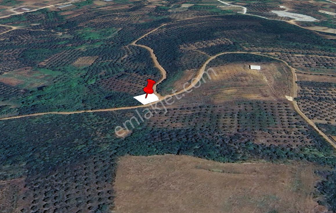 Balıkesir Bandırma Sahil Yenice Mah. 71 M2 Satılık Tarla Yatırımlık - Görsel 3