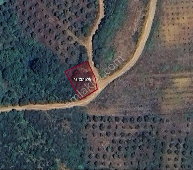Balıkesir Bandırma Sahil Yenice Mah. 71 M2 Satılık Tarla Yatırımlık