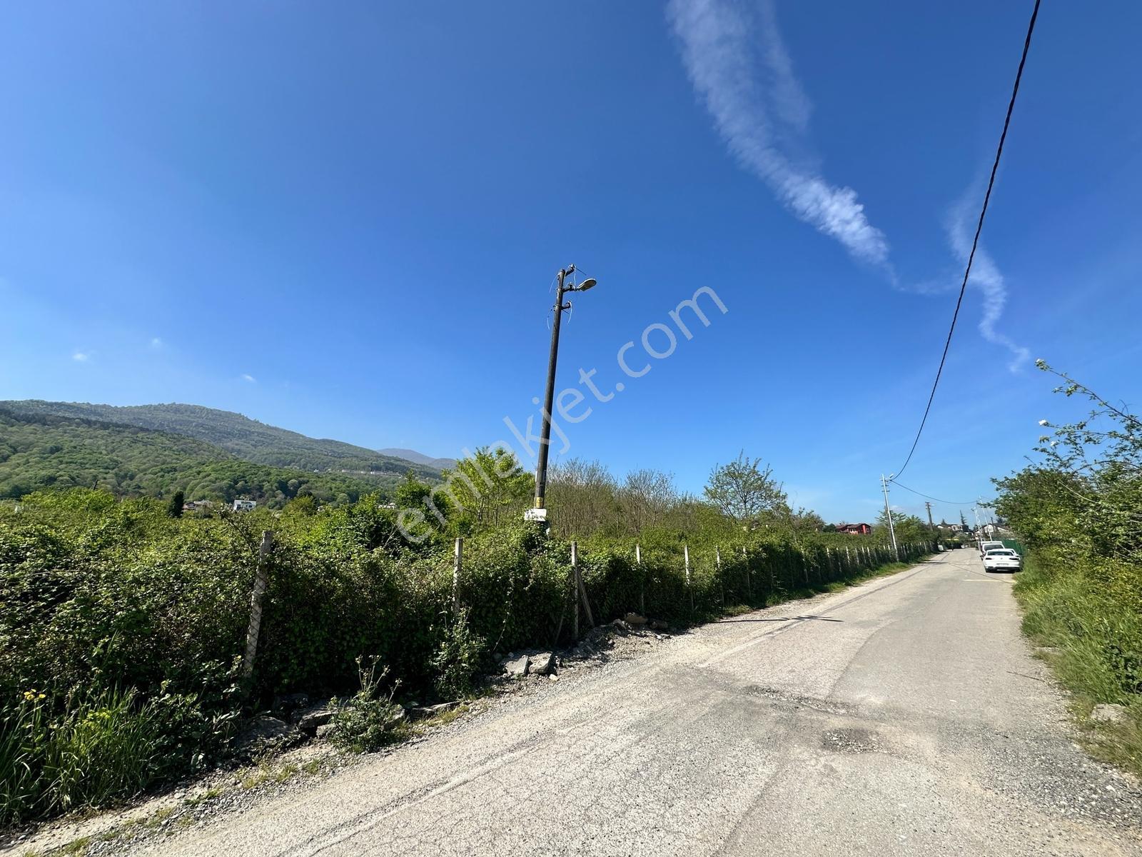 Kocaeli Kartepe Maşukiye 2.326 M2 Konut İmarlı Arsa - Görsel 13