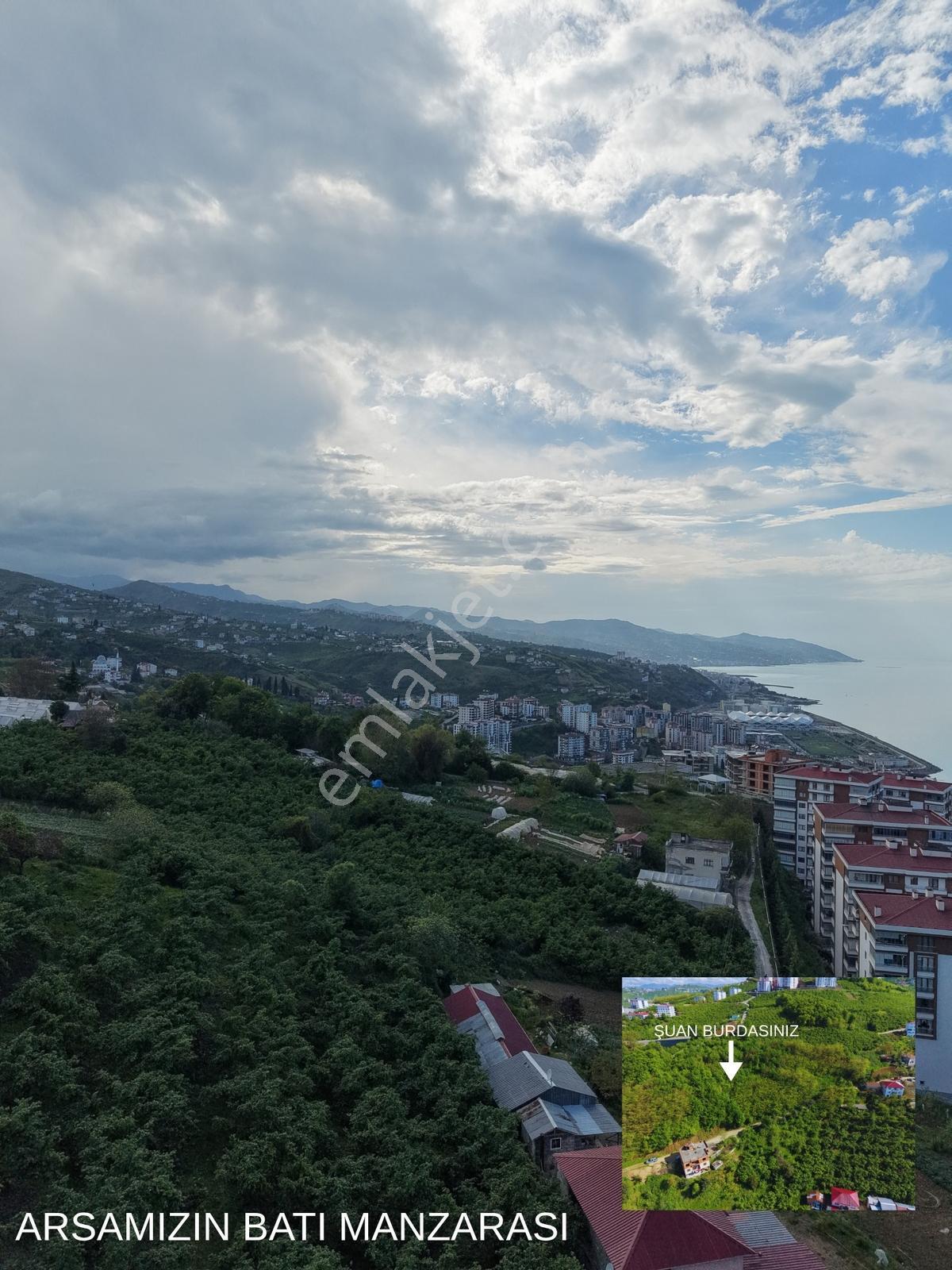 Vıp Gayrimenkuldan Satılık 2 Nolu Beşirlide 1 Dönüm Arsa - Görsel 3