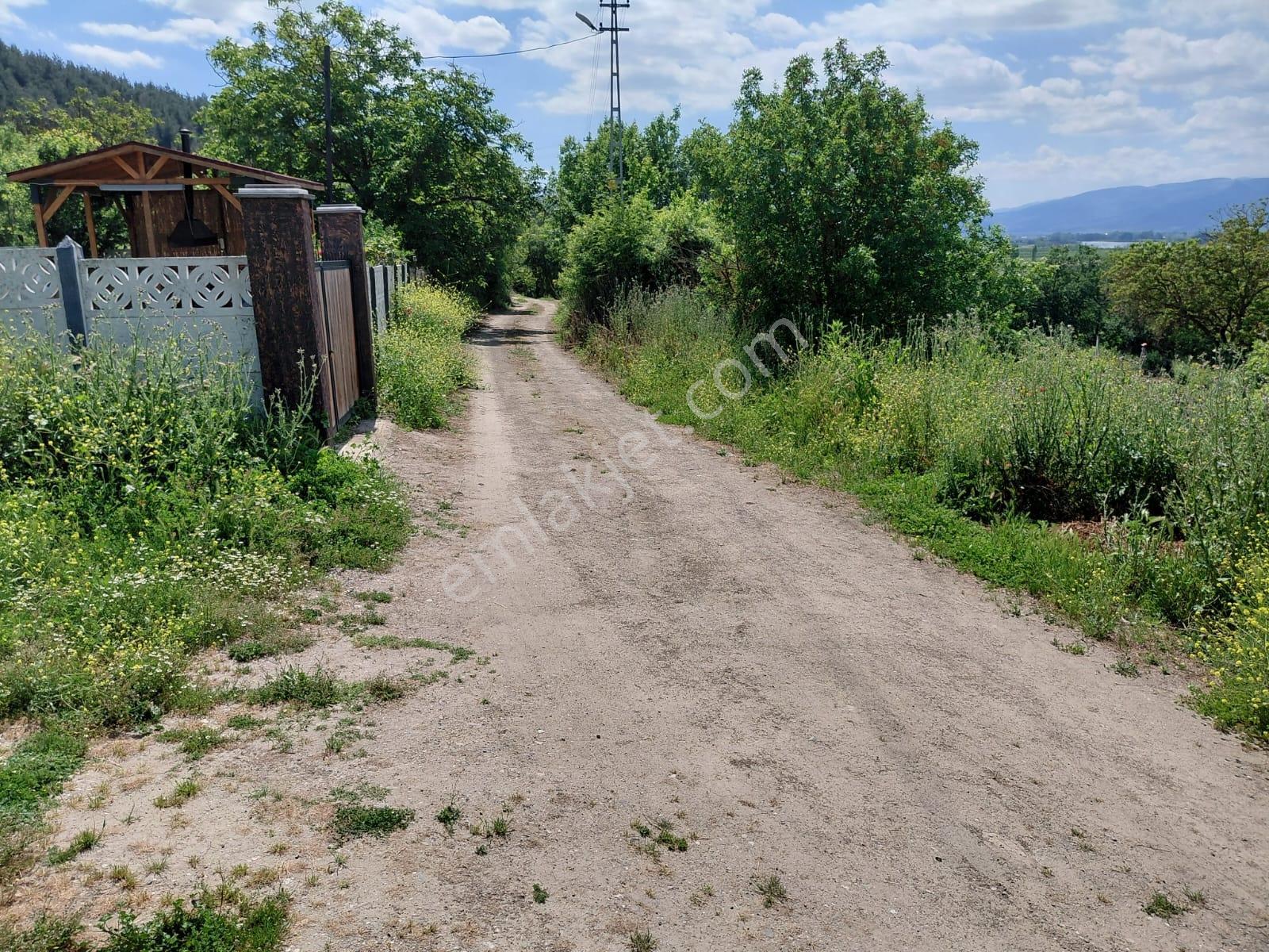 Bozörende Yerleşim Yanı Satılık 1.028 M2 Üzüm Bağı