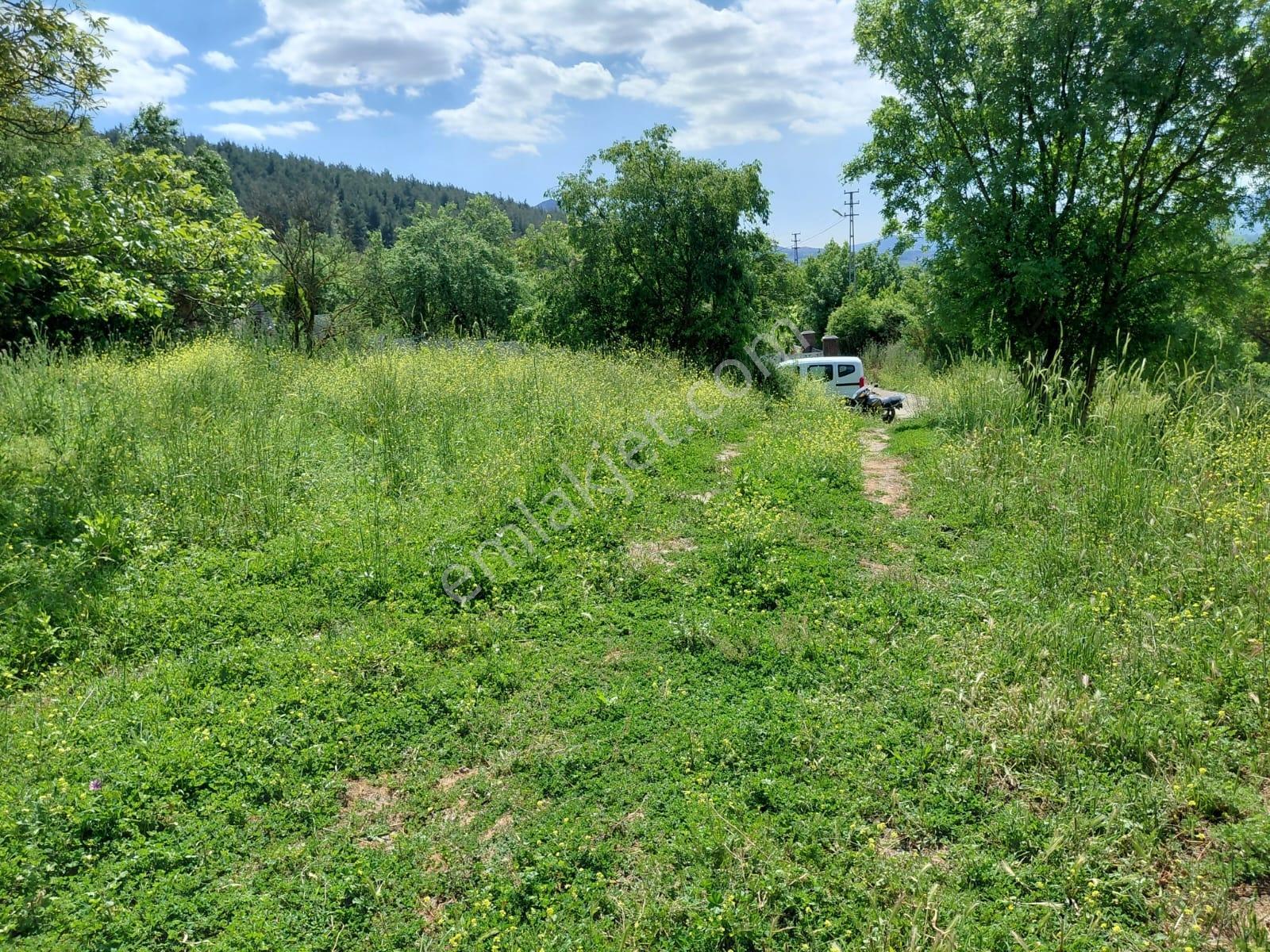 Bozörende Yerleşim Yanı Satılık 1.028 M2 Üzüm Bağı - Görsel 5
