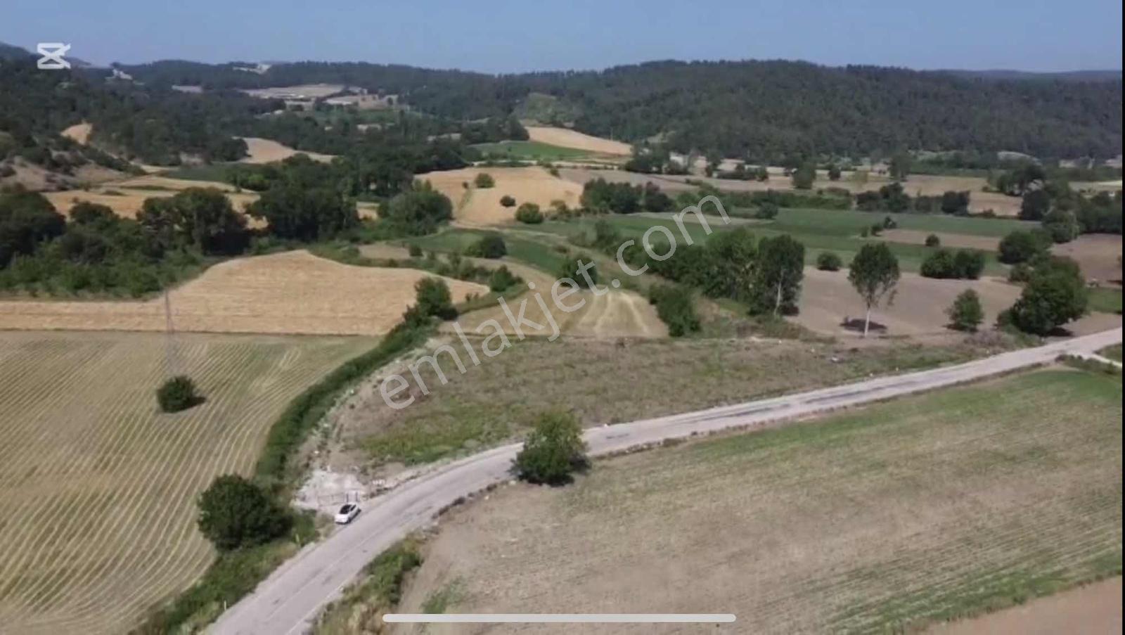 Öztarlacıdan Hacıali Satılık 8.400 M2 Yola Cephe - Görsel 3