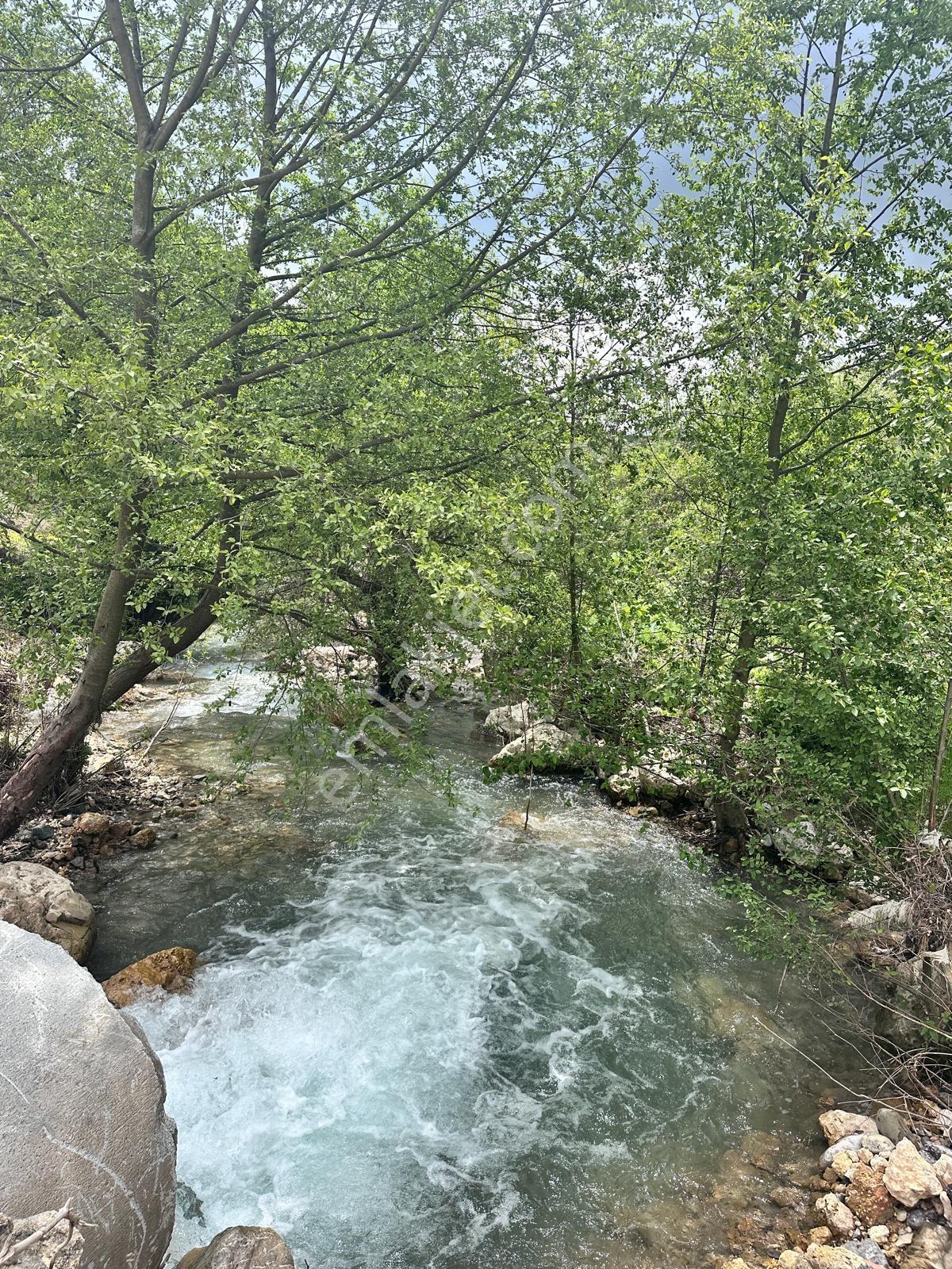 Rw Budur'dan Fındıkpınarında Harika Doğa Manzaralı Satılık Ev... - Görsel 7