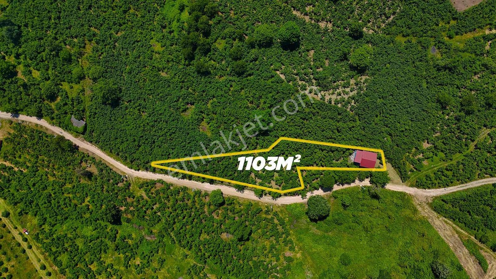 Ayşe Emlak'tan Satılık Yatırımlık Tarla+ev - Görsel 8