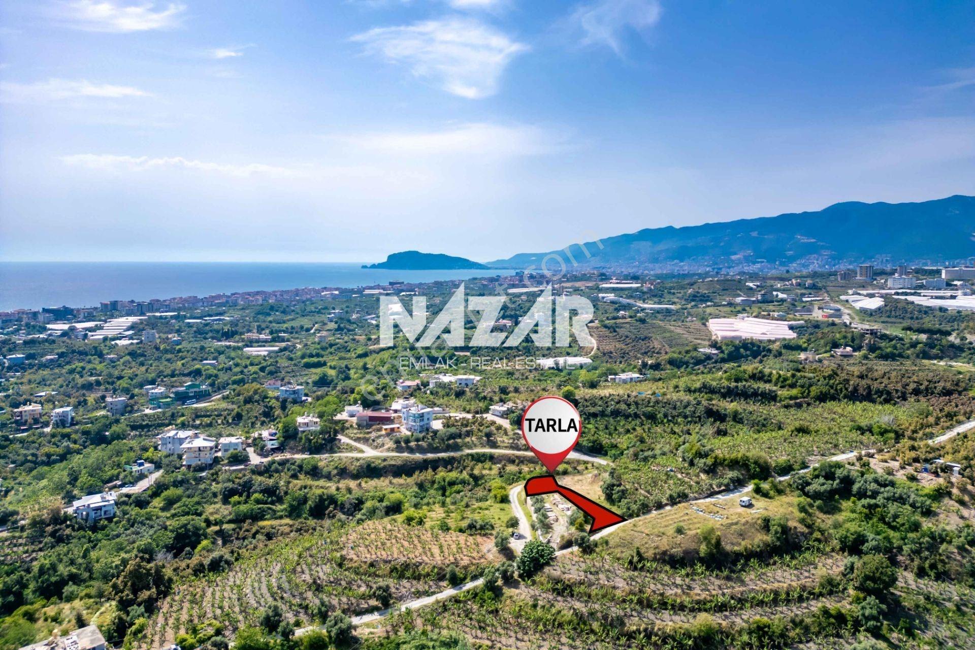 Alanya Kestel’de 652 M² Satılık Deniz Manzaralı Tarla - Görsel 5