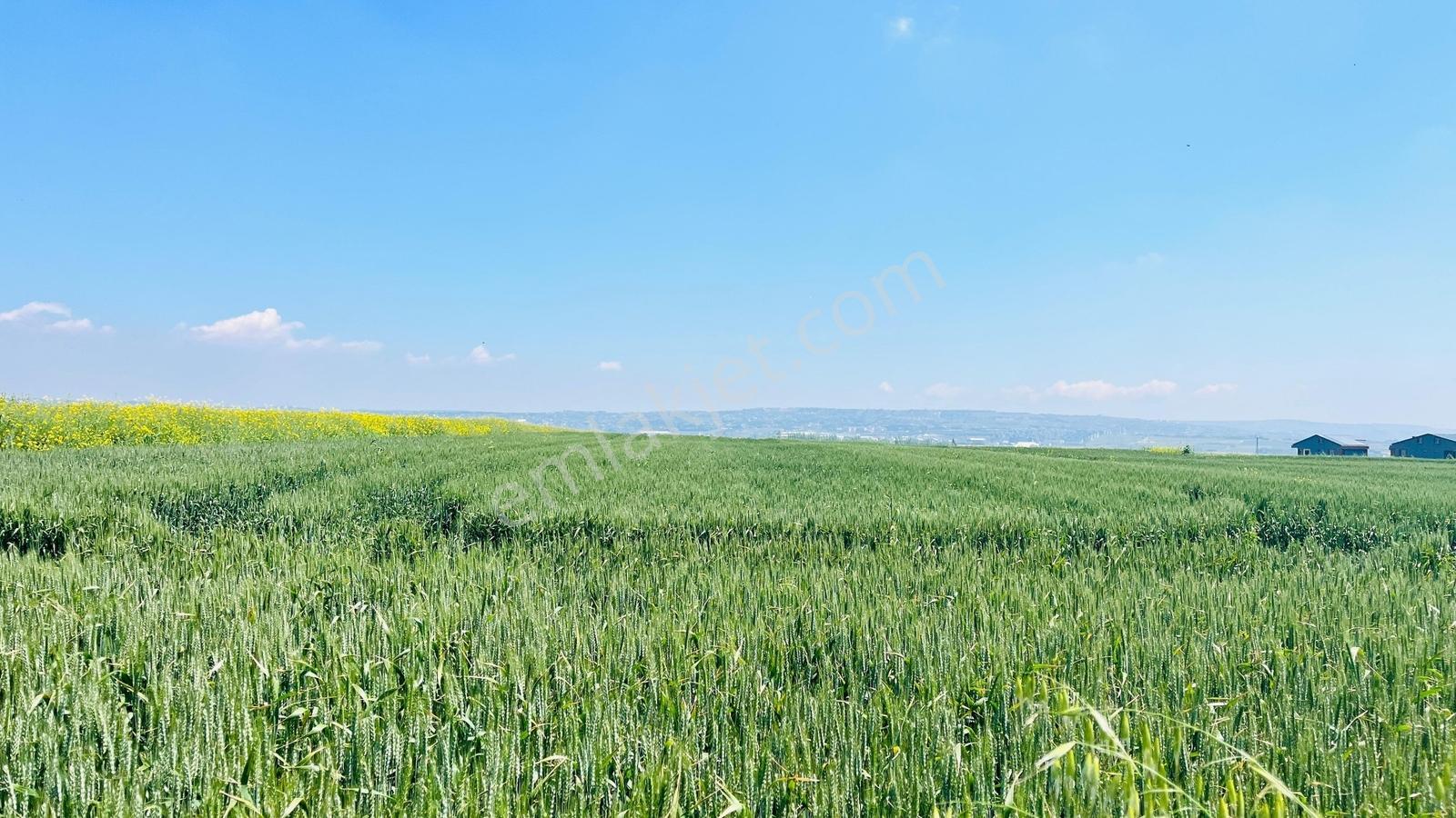 Selimpaşa'da Satılık İyi Konumlu Köşe Başı 2276 M² İmarlı Arsa - Görsel 29