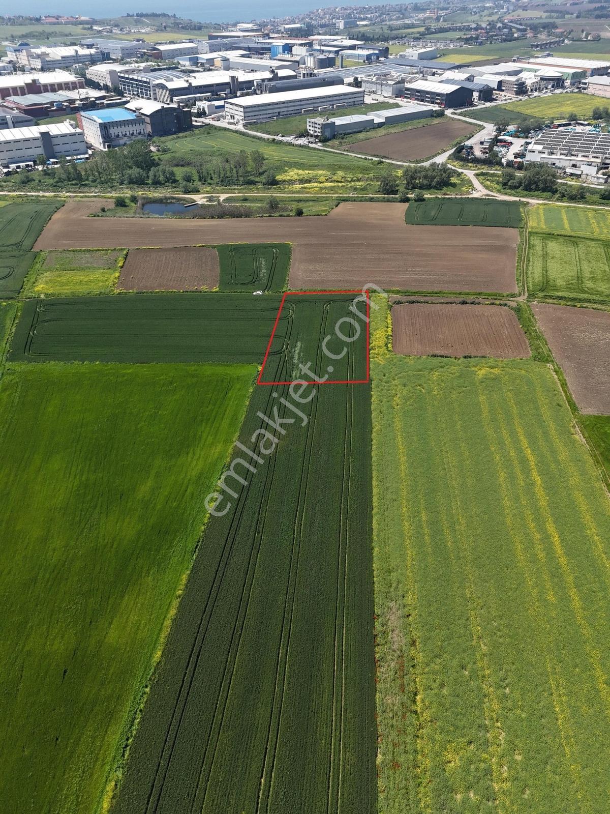 Selimpaşa'da Satılık İyi Konumlu Köşe Başı 2276 M² İmarlı Arsa - Görsel 10