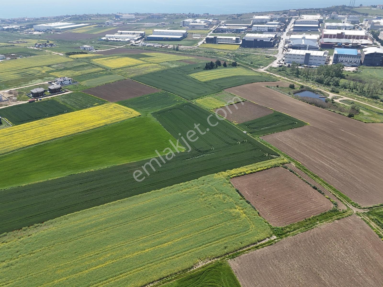 Selimpaşa'da Satılık İyi Konumlu Köşe Başı 2276 M² İmarlı Arsa - Görsel 23