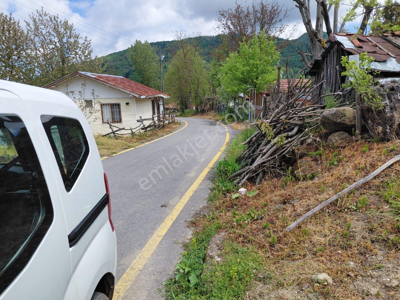Kamışlıda Doğa İle İç İçe Yol Kenarı Satılık Mükemmel Bahçe - Görsel 17