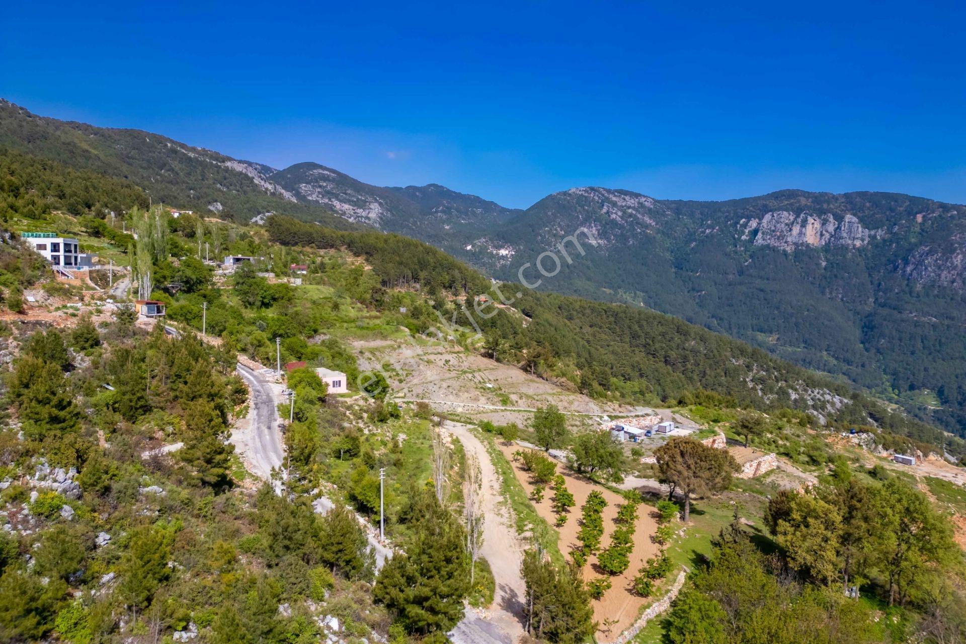 Alanya Bademağacı’nda 4.473 M² Satılık Deniz Manzaralı Tarla - Görsel 5