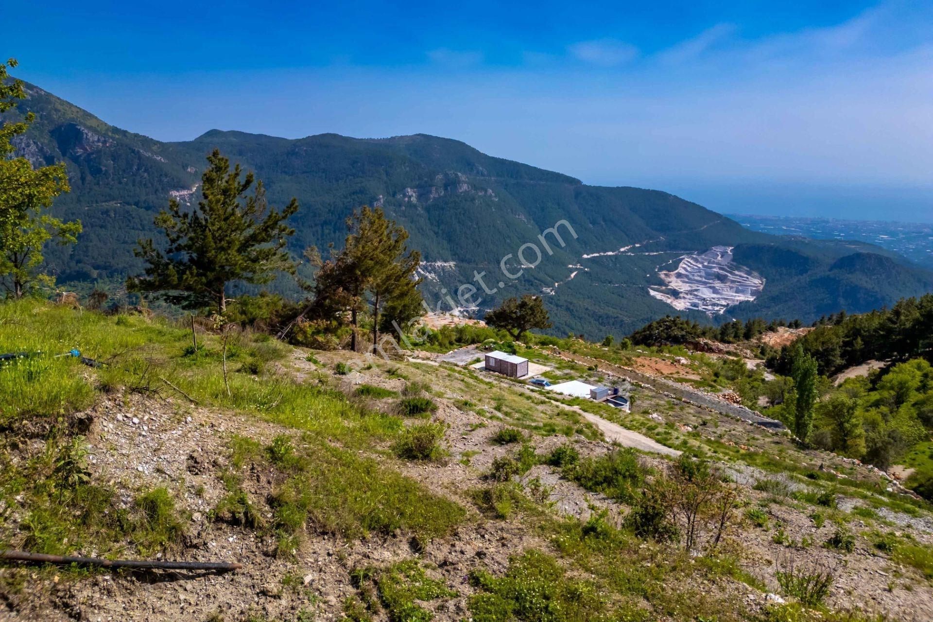 Alanya Bademağacı’nda 4.473 M² Satılık Deniz Manzaralı Tarla - Görsel 16